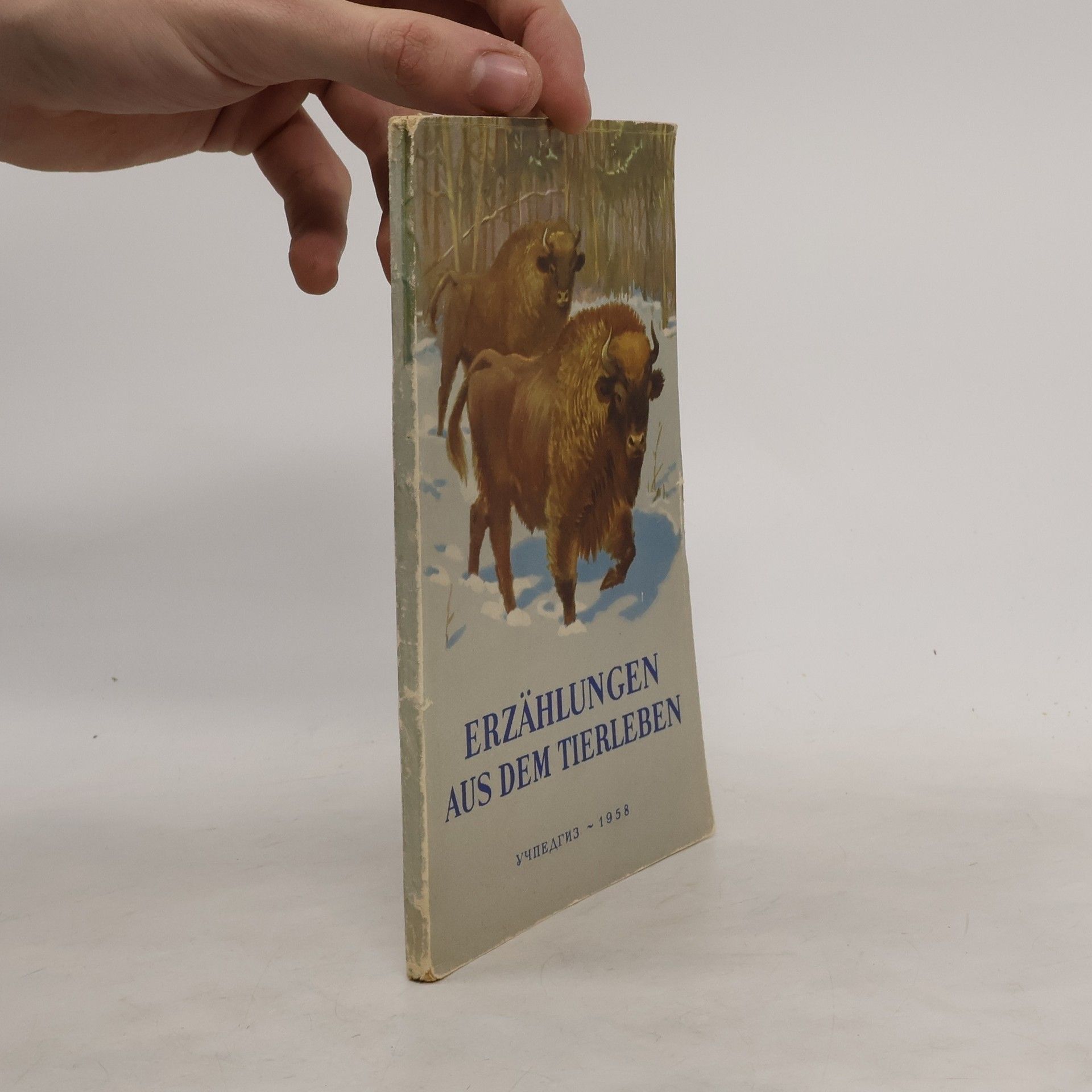 kolektiv Erzählungen aud dem Tierleben