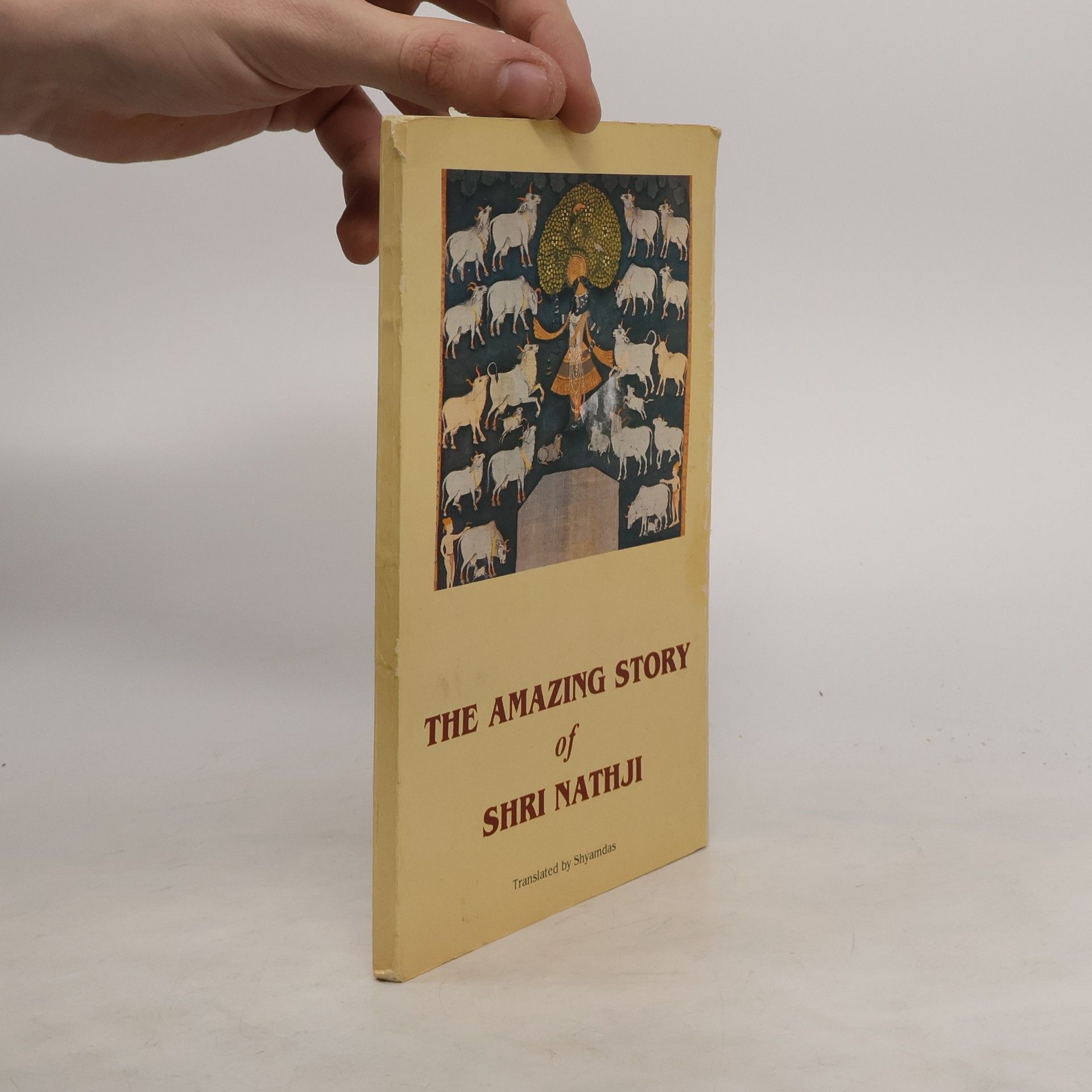 Syamdas Ji  The Amazing Story of shri Nath ji