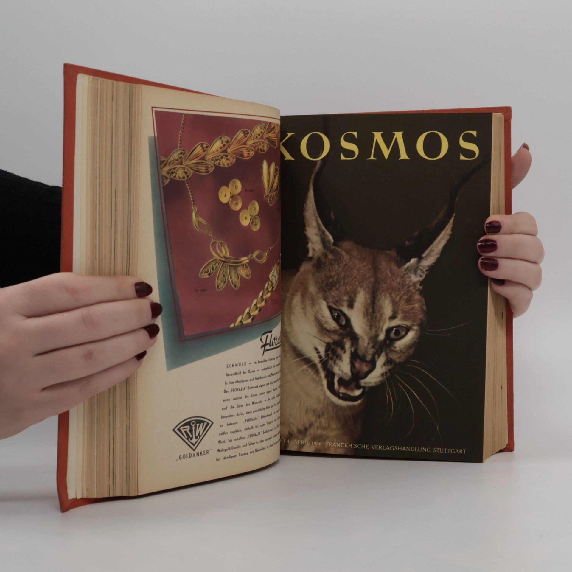 kolektiv Kosmos