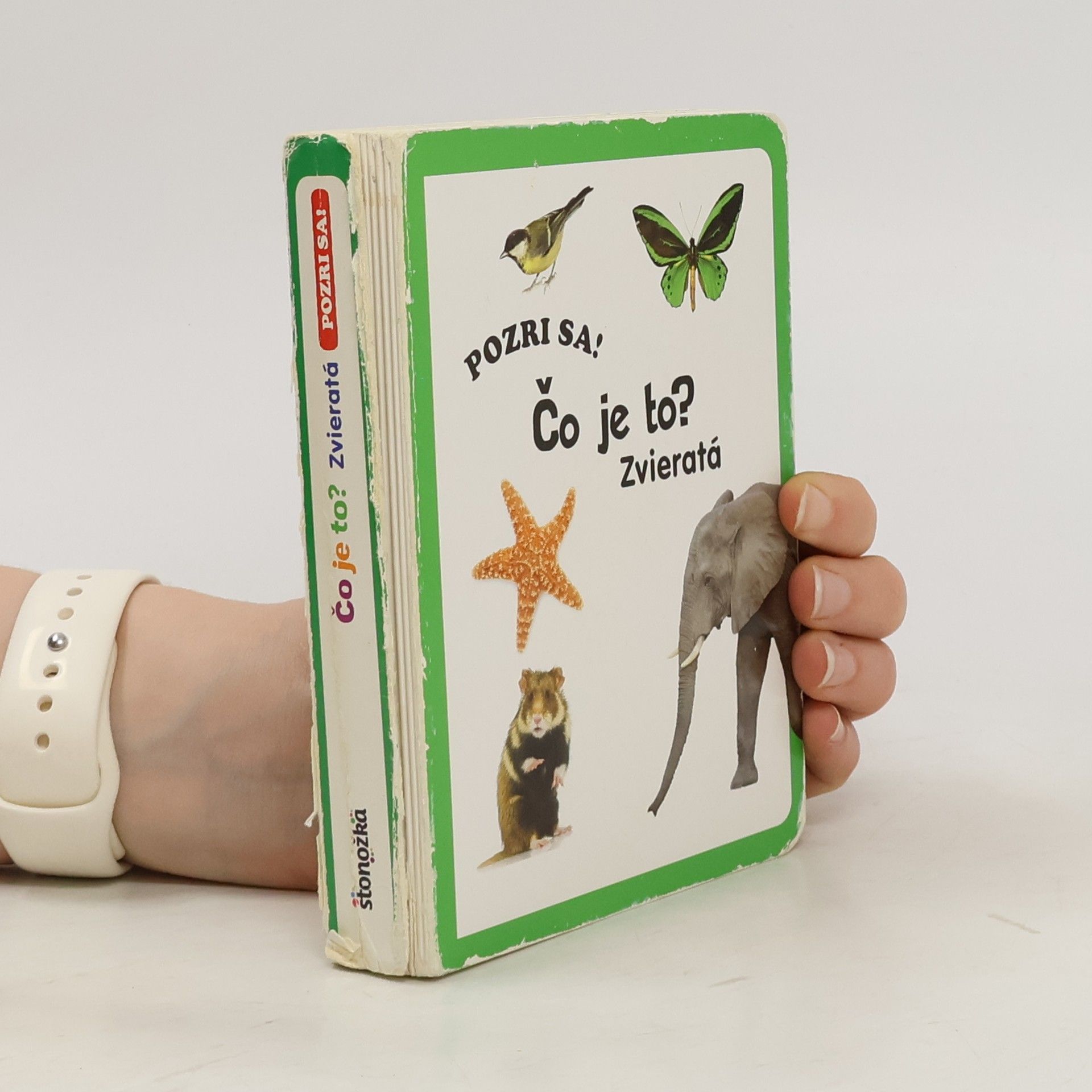 neuveden Pozri sa! Čo je to? Zvieratá