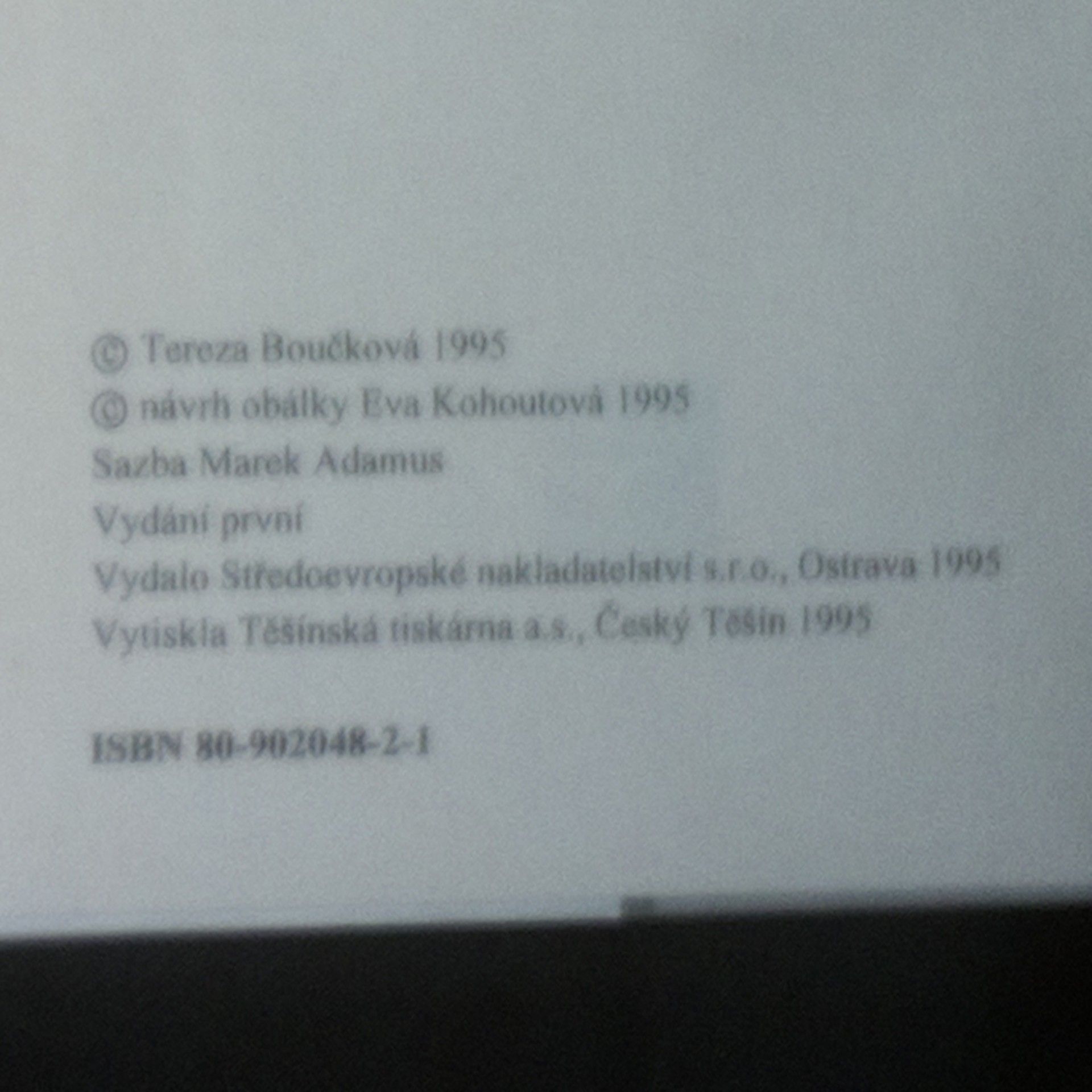 Tereza Boučková Když milujete muže