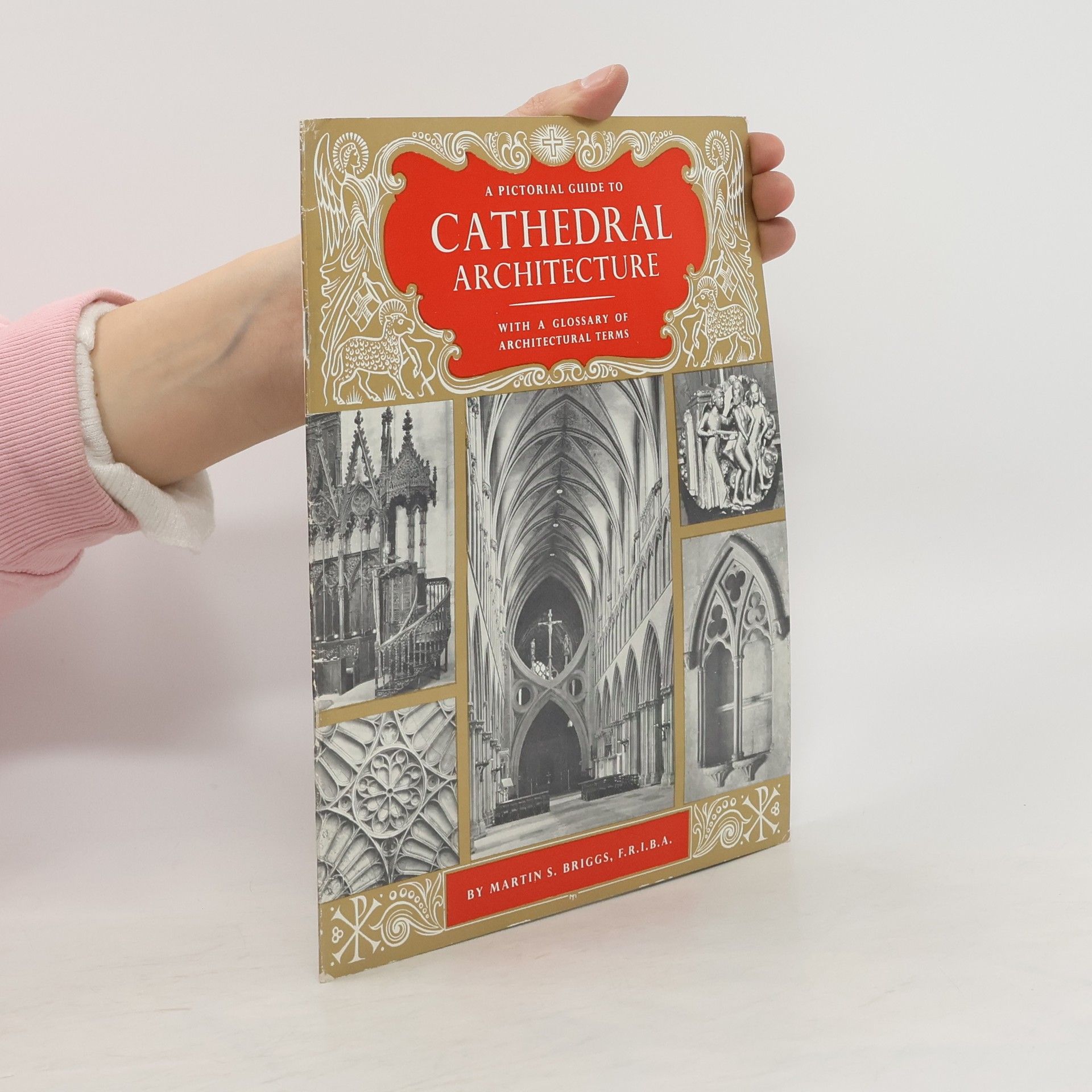 Kolektív autorov A pictorial guide to cathedral architecture