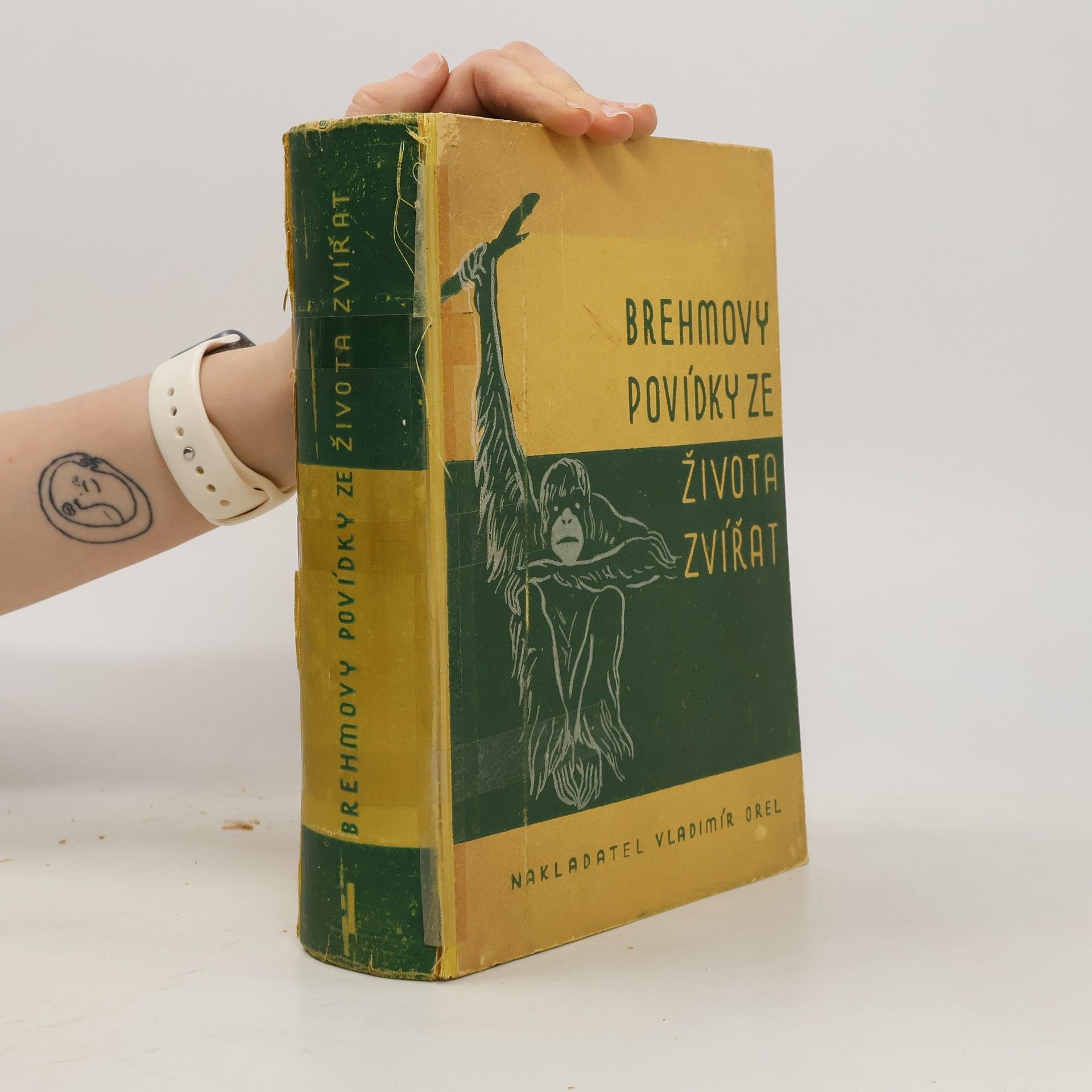 Alfred Edmund Brehm Brehmovy povídky ze života zvířat I.