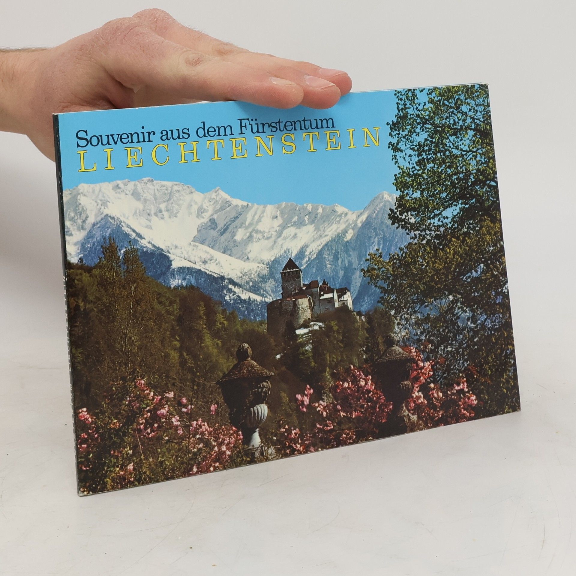Collectif d'auteurs Souvenirs aus dem Fürstentum Liechtenstein