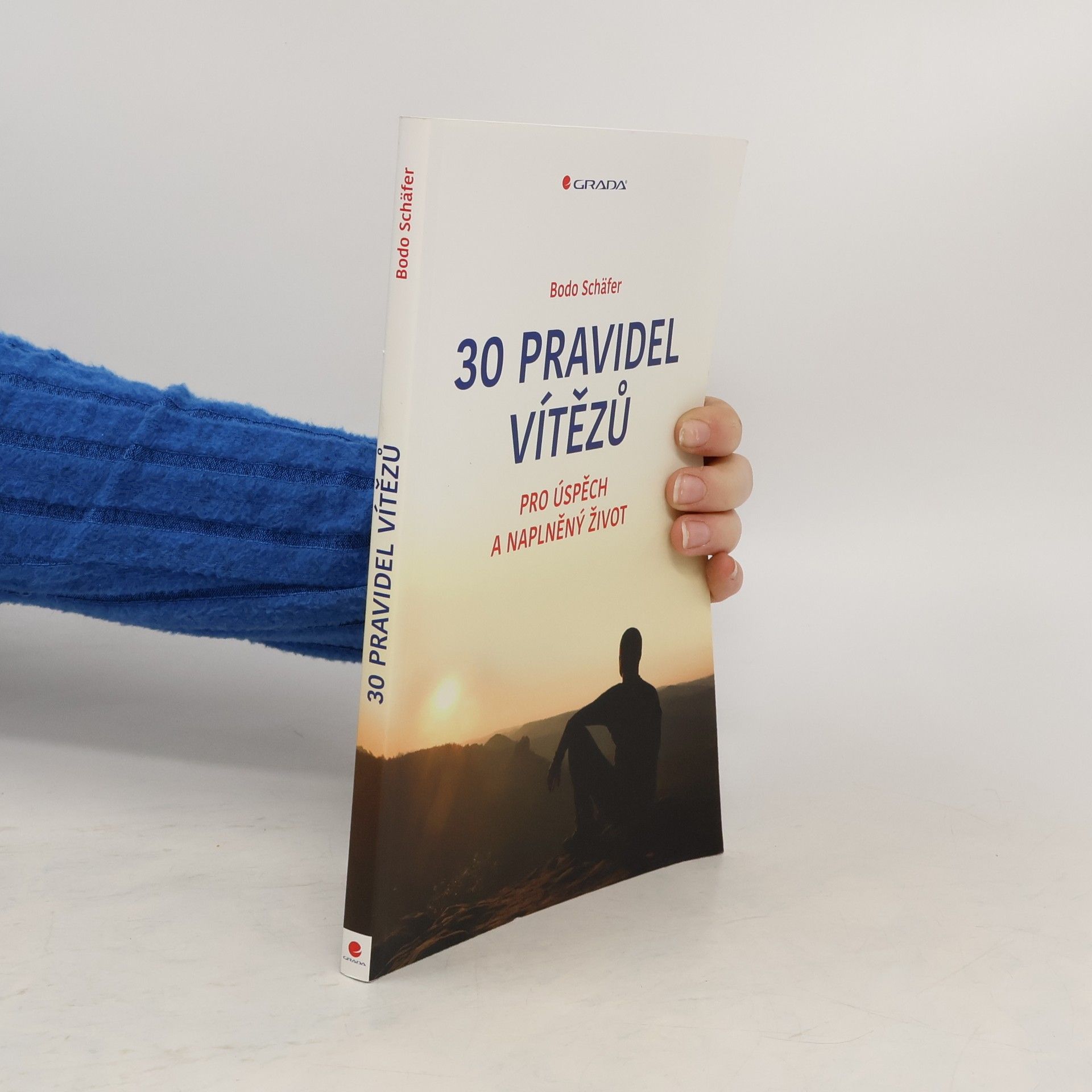 Bodo Schäfer 30 pravidel vítězů : pro úspěch a naplněný život