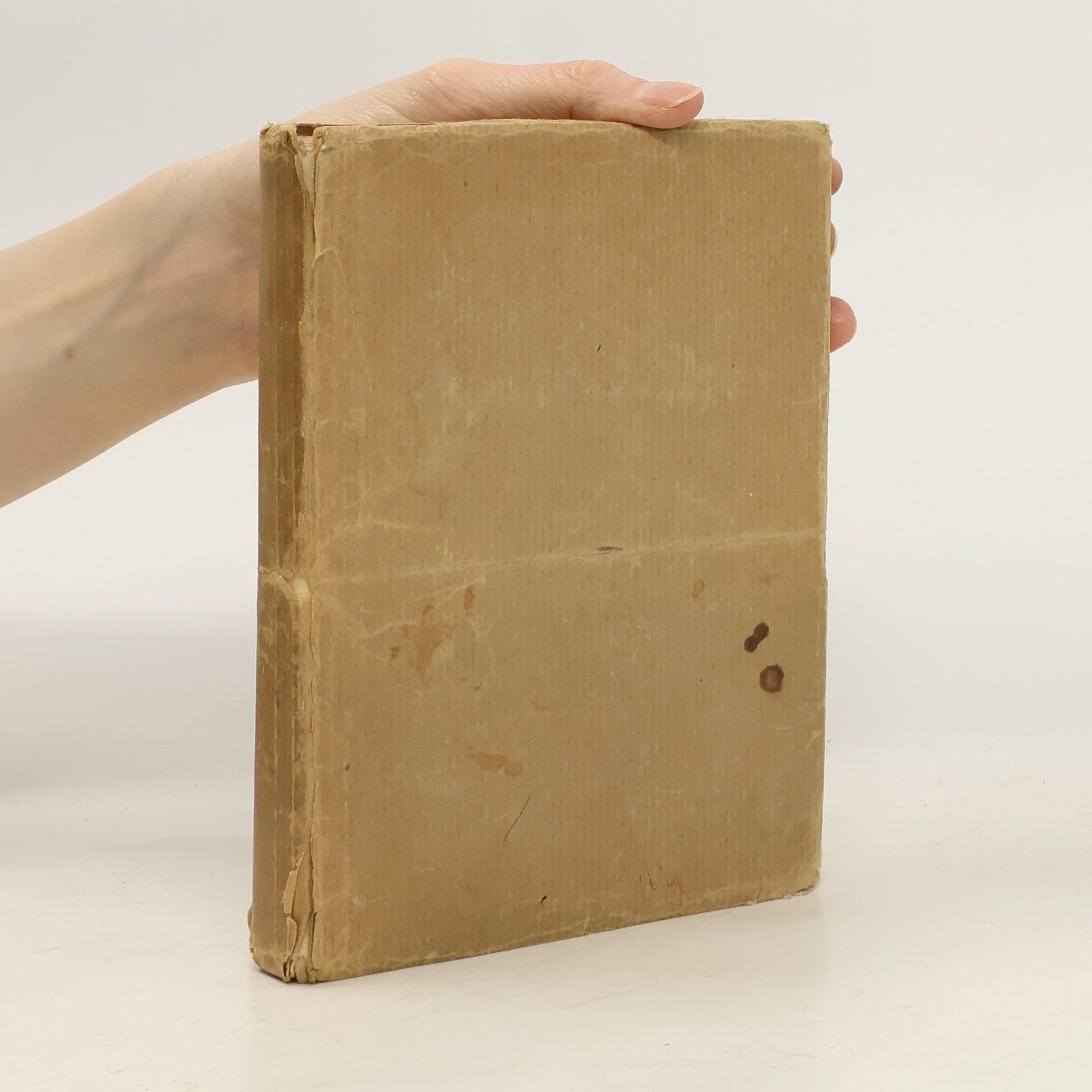 Autorenkollektiv Stručná mluvnice ruská