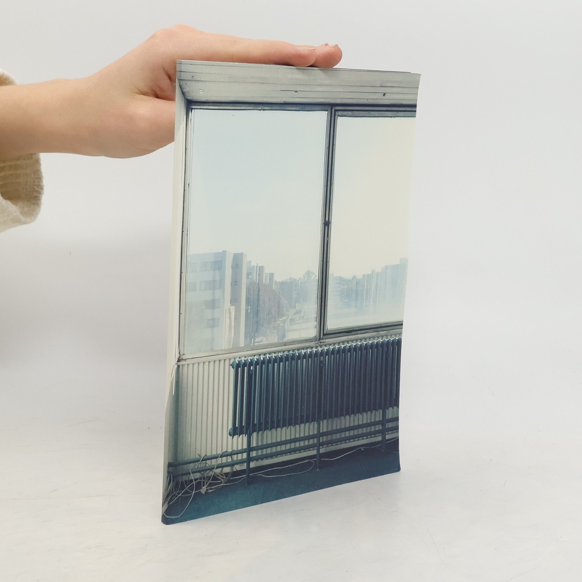 Petra Boudová Proměny hodnoty architektonického díla v čase = Variability in the value of architectural work during the time