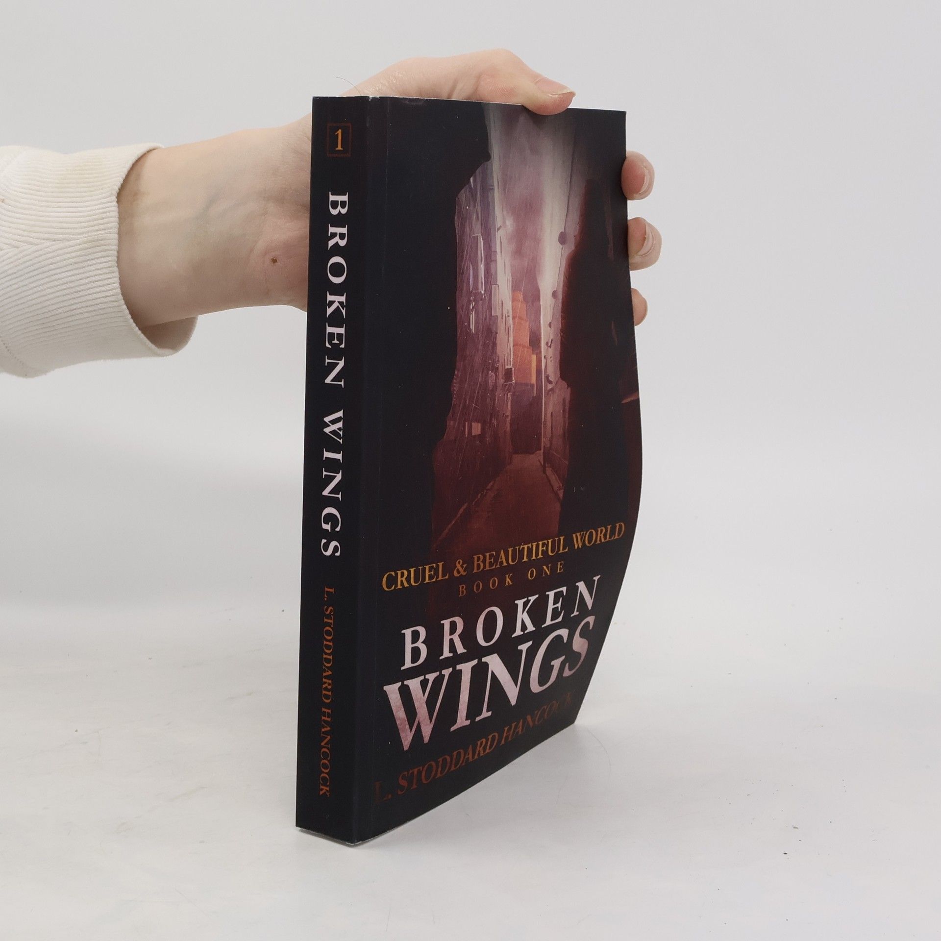 Autorenkollektiv Broken Wings