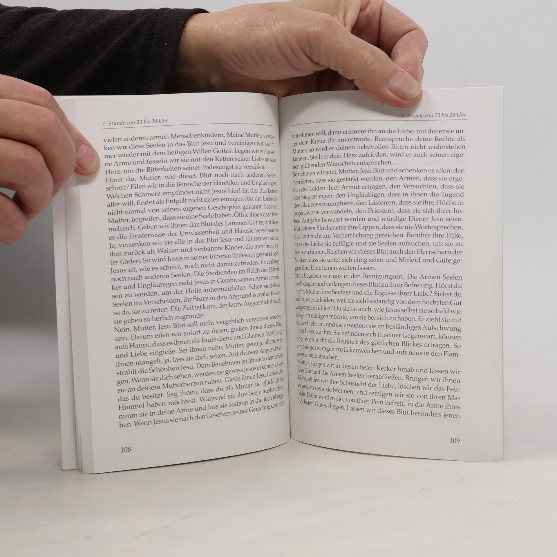 Autorenkollektiv Das Reich des Göttlichen Willens II.