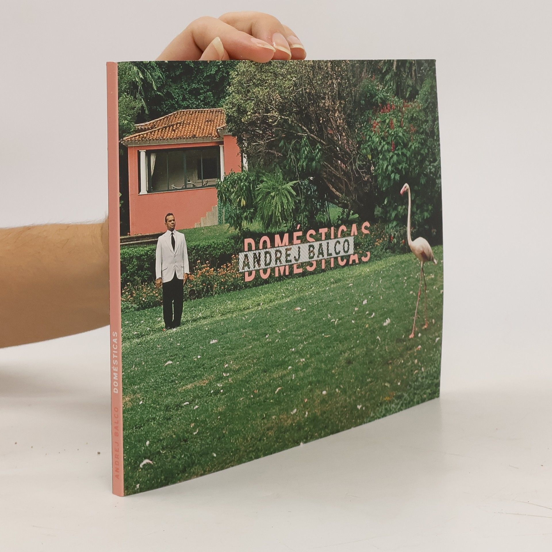 Auteurscollectief Andrej Balco. Domésticas