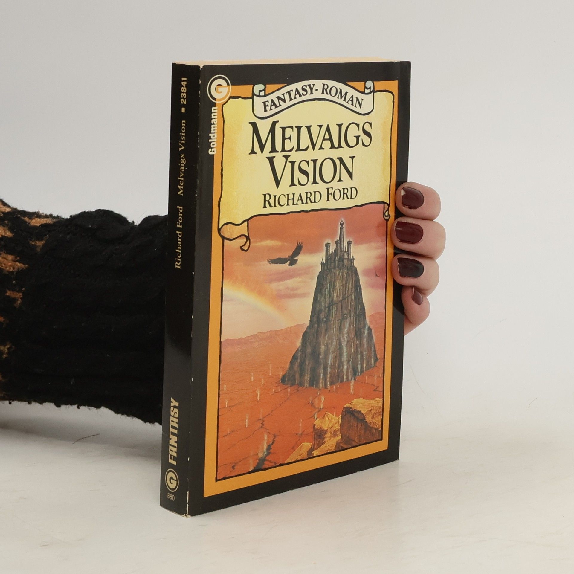 Melvaigs Vision