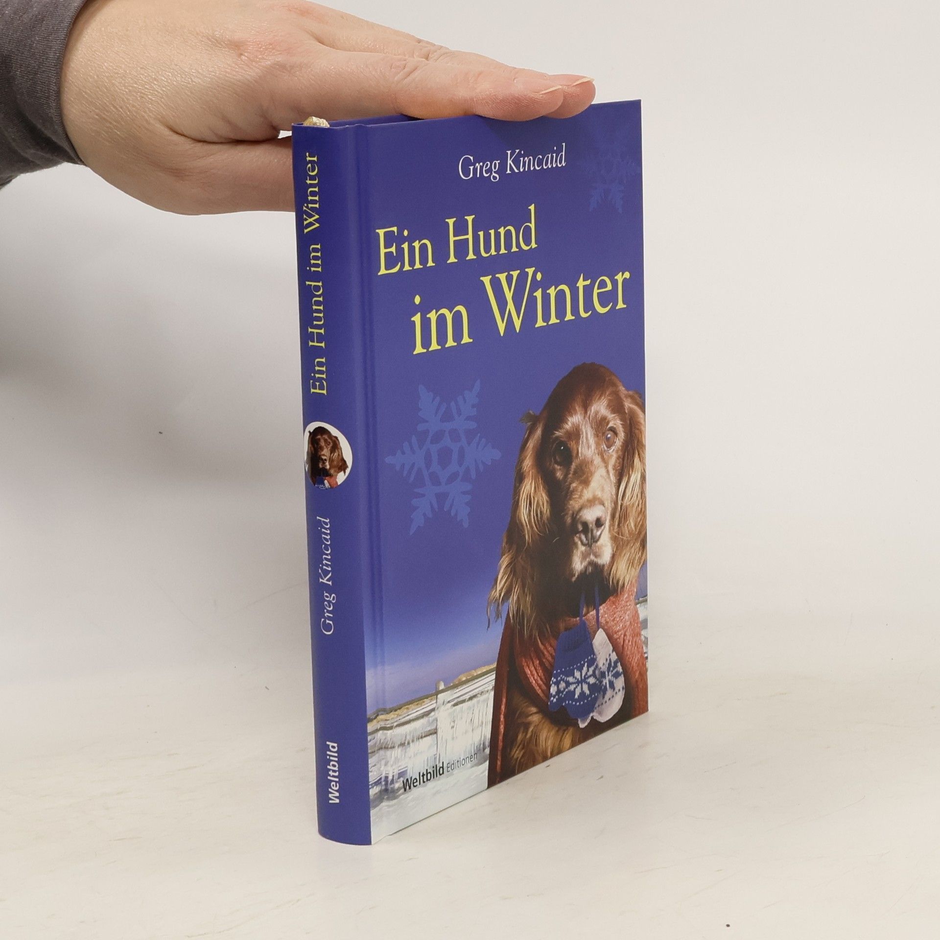Greg Kincaid Ein Hund im Winter