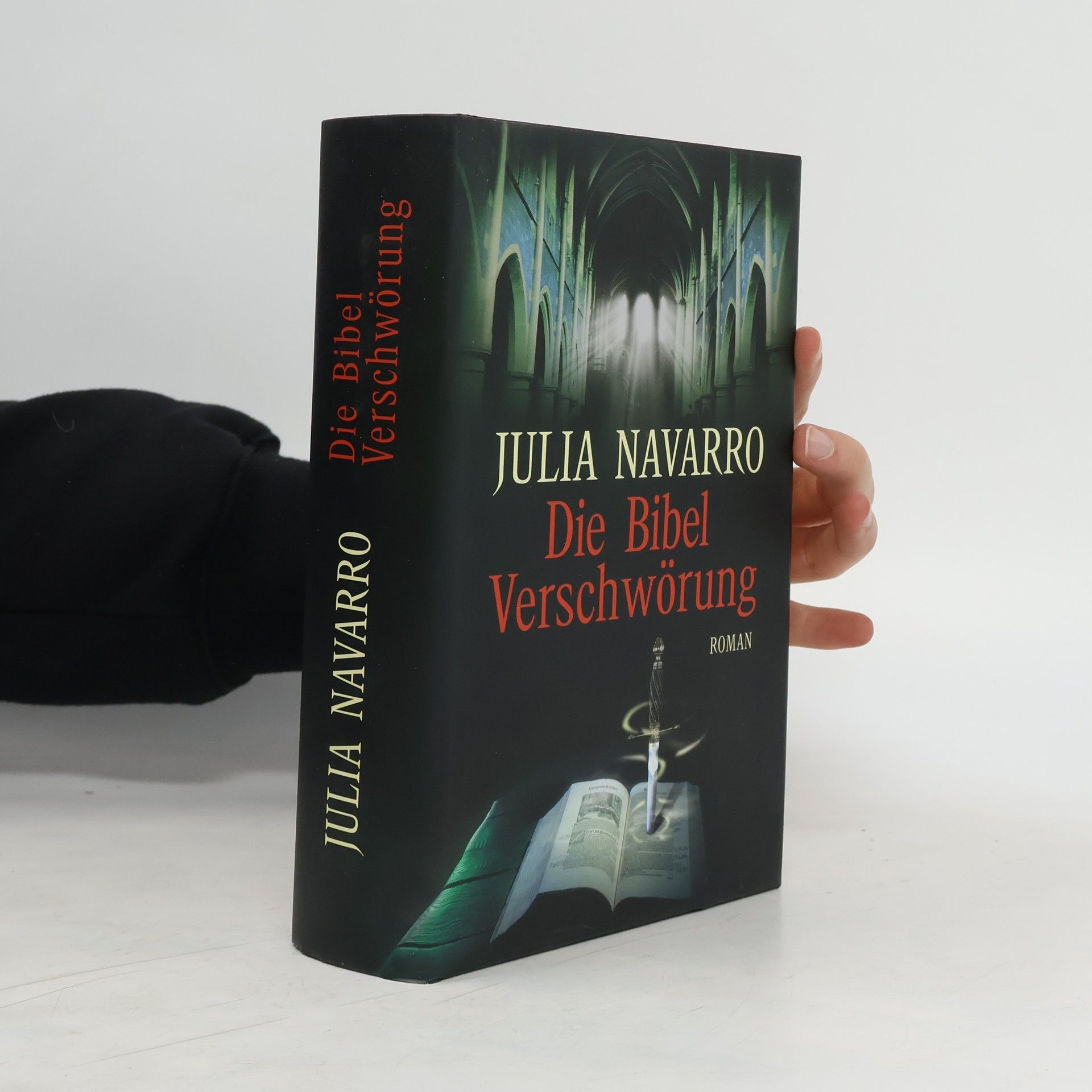 Julia Navarro Die Bibel Verschwörung