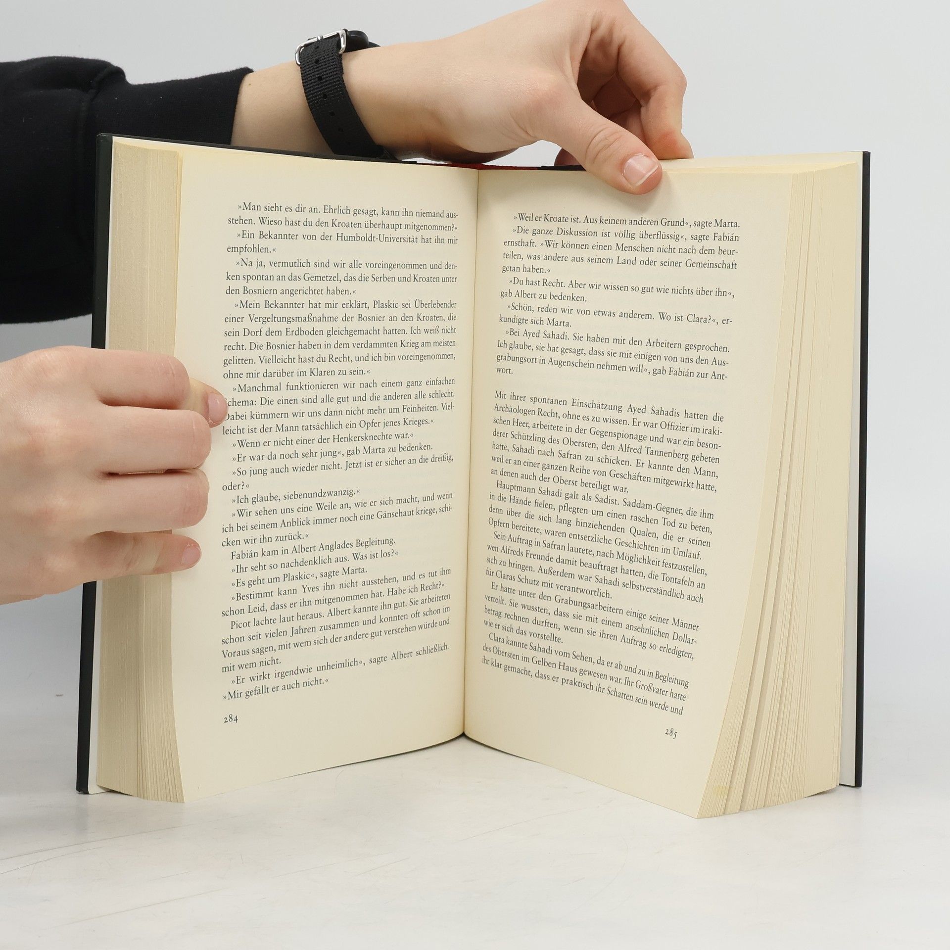 Julia Navarro Die Bibel Verschwörung