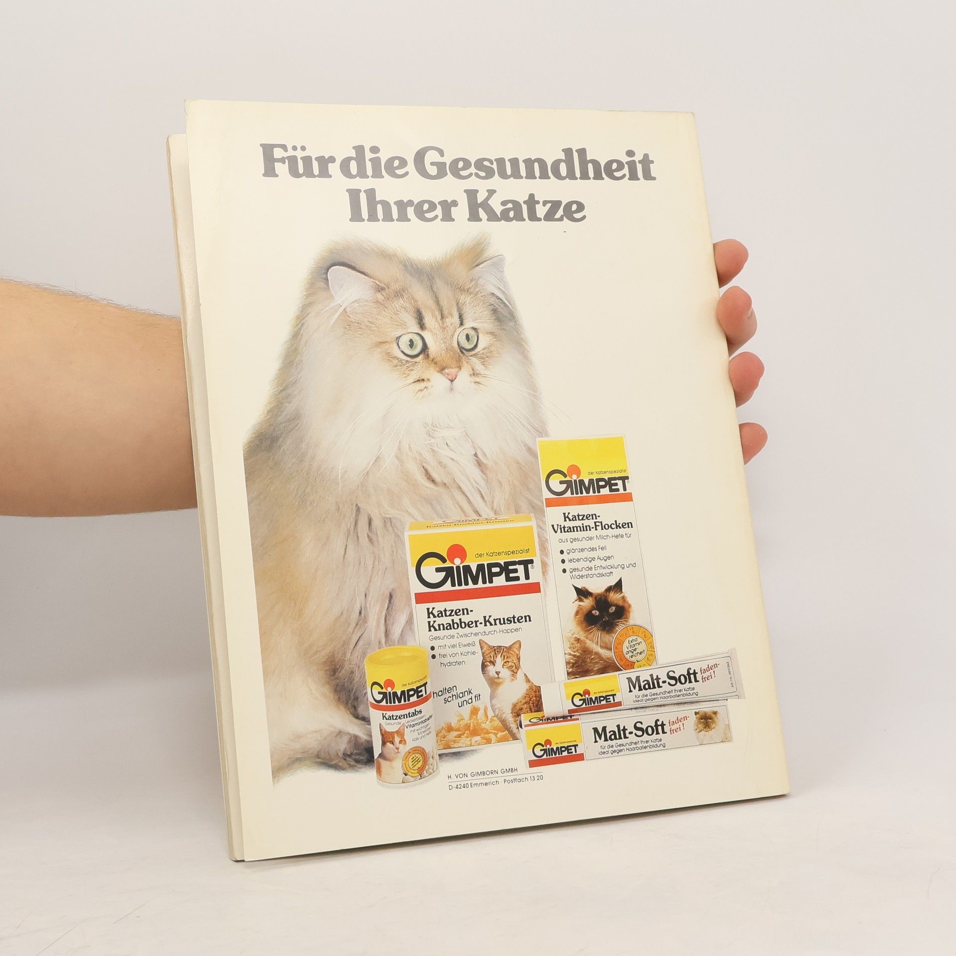 Autorenkollektiv Was Sie schon immer über Katzen wissen wollten