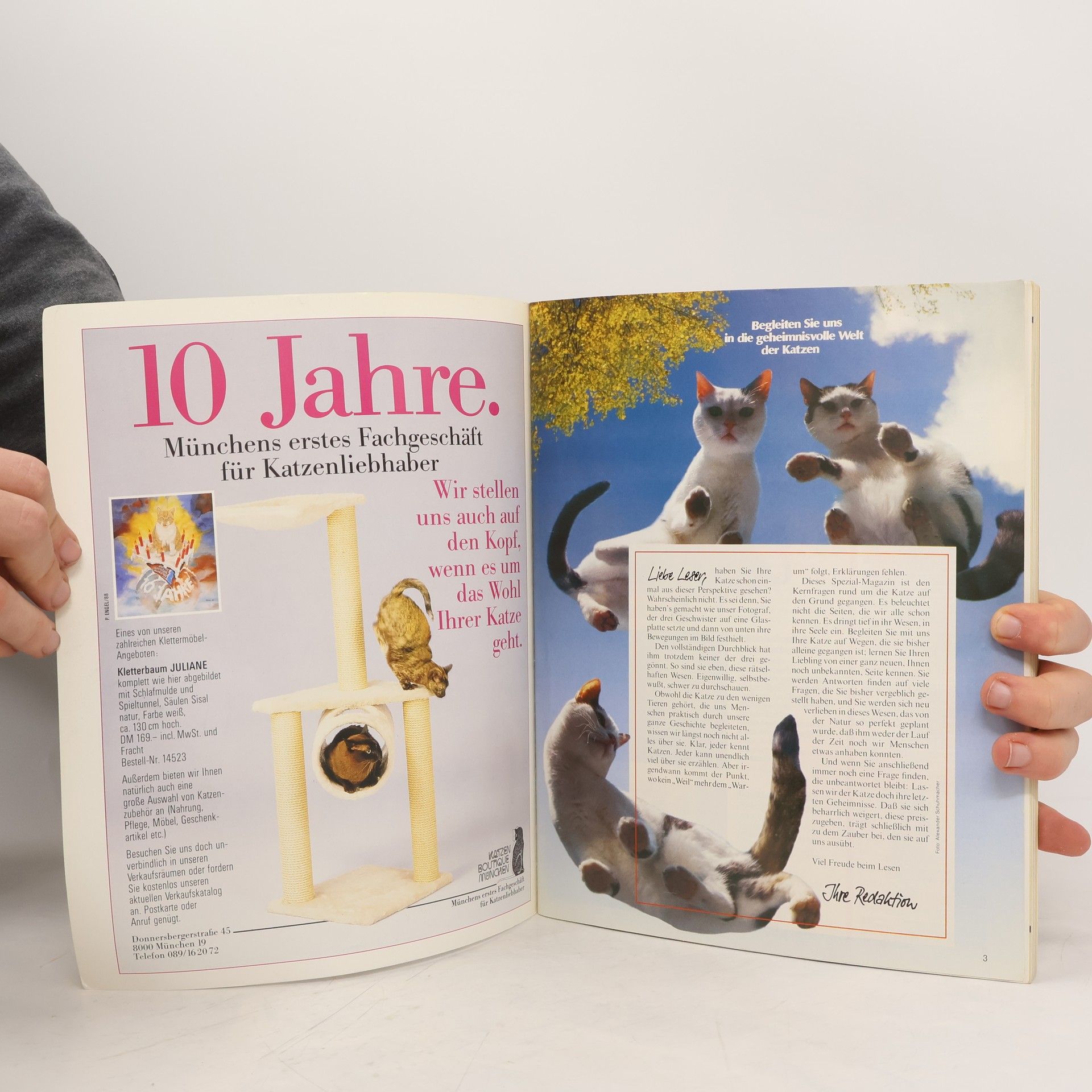 Autorenkollektiv Was Sie schon immer über Katzen wissen wollten