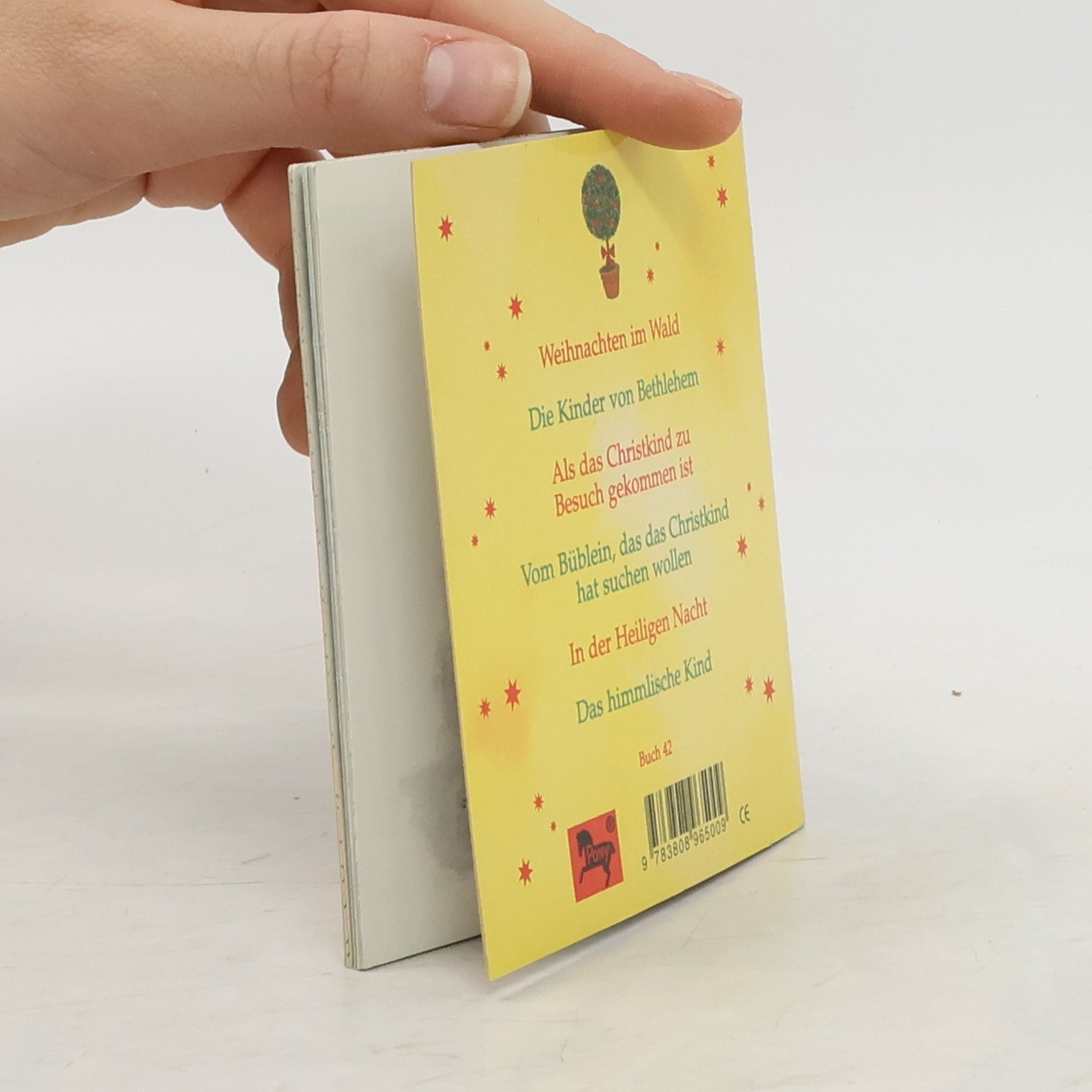 Autorenkollektiv Das himmlische Kind
