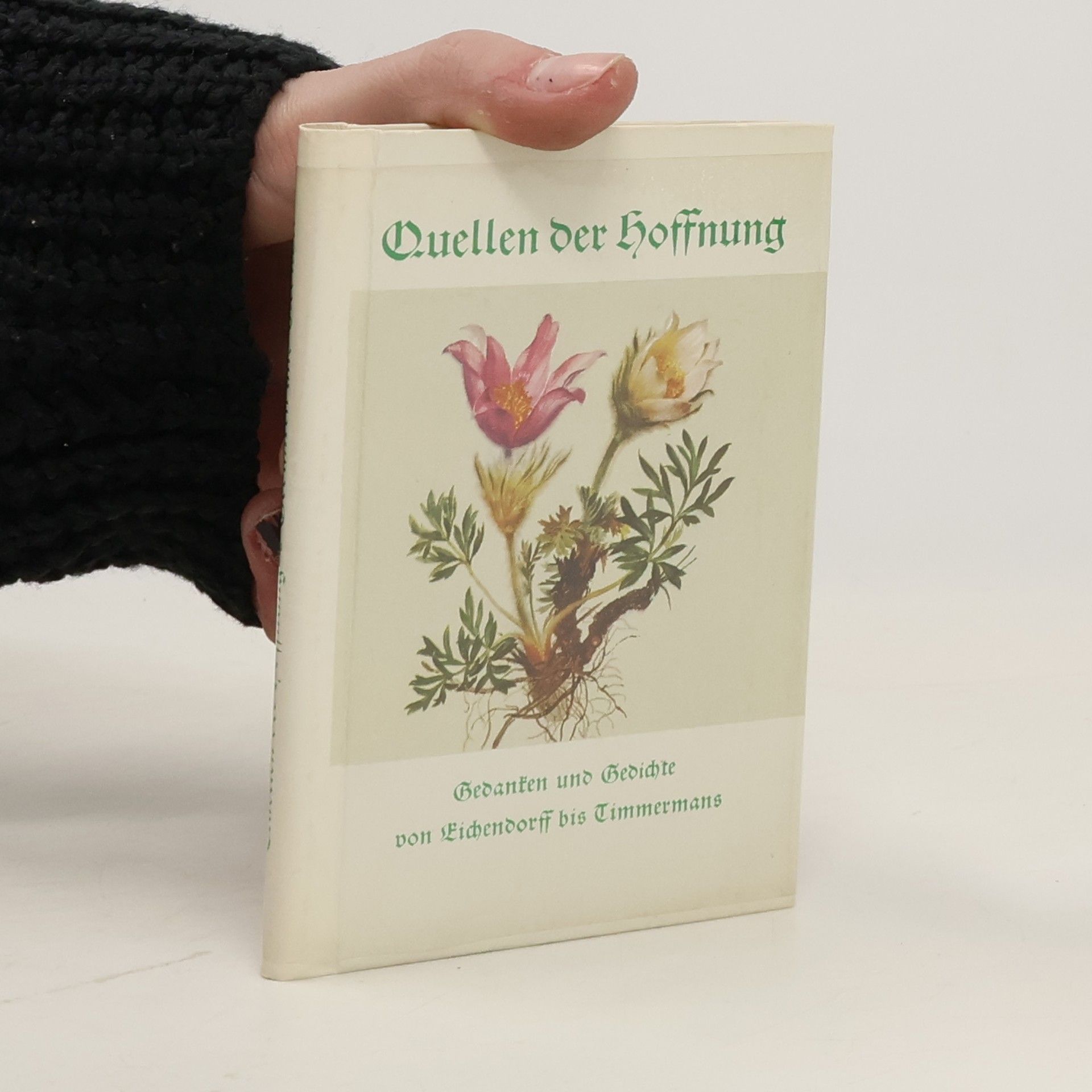 Eugen Hettinger Quellen der Hoffnung