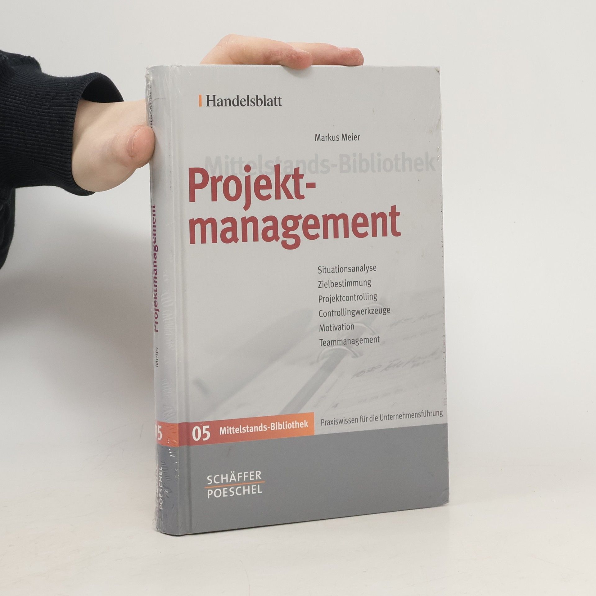 Markus Meier-Salimi Projektmanagement