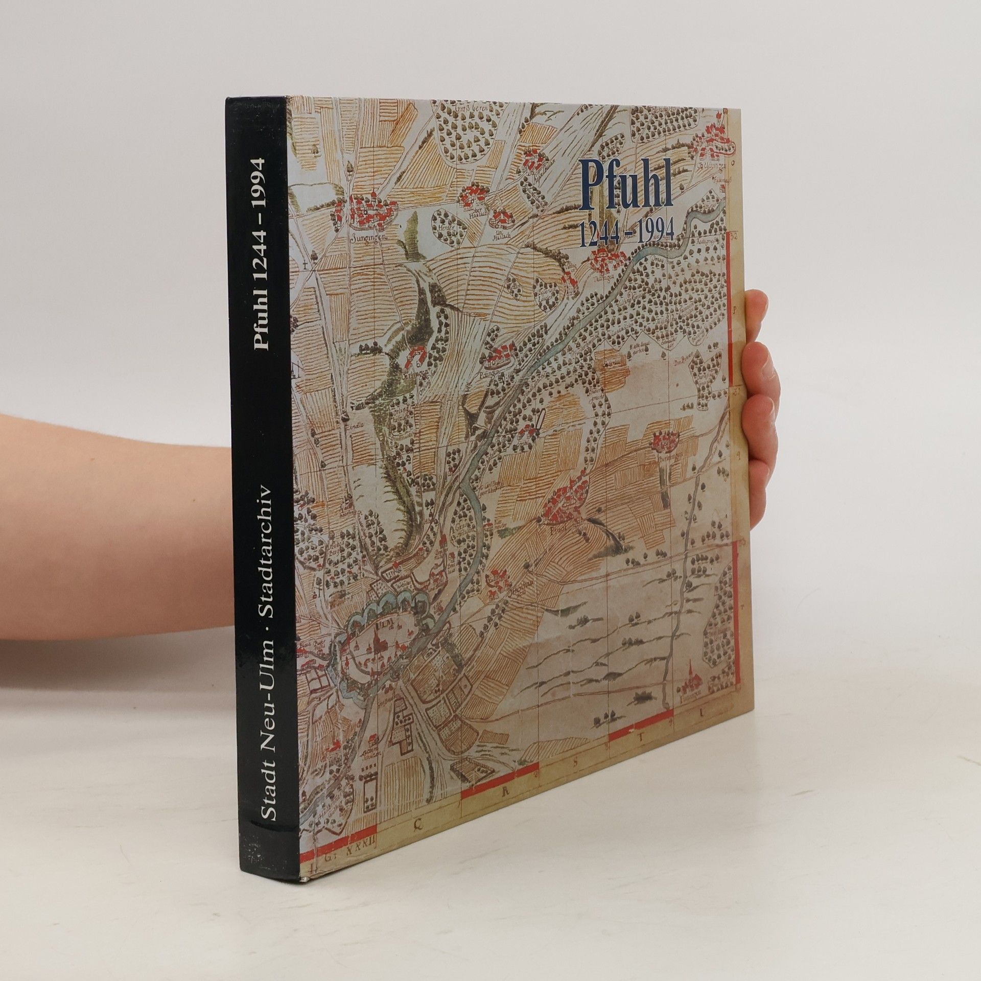 Autorenkollektiv Pfuhl 1244-1994