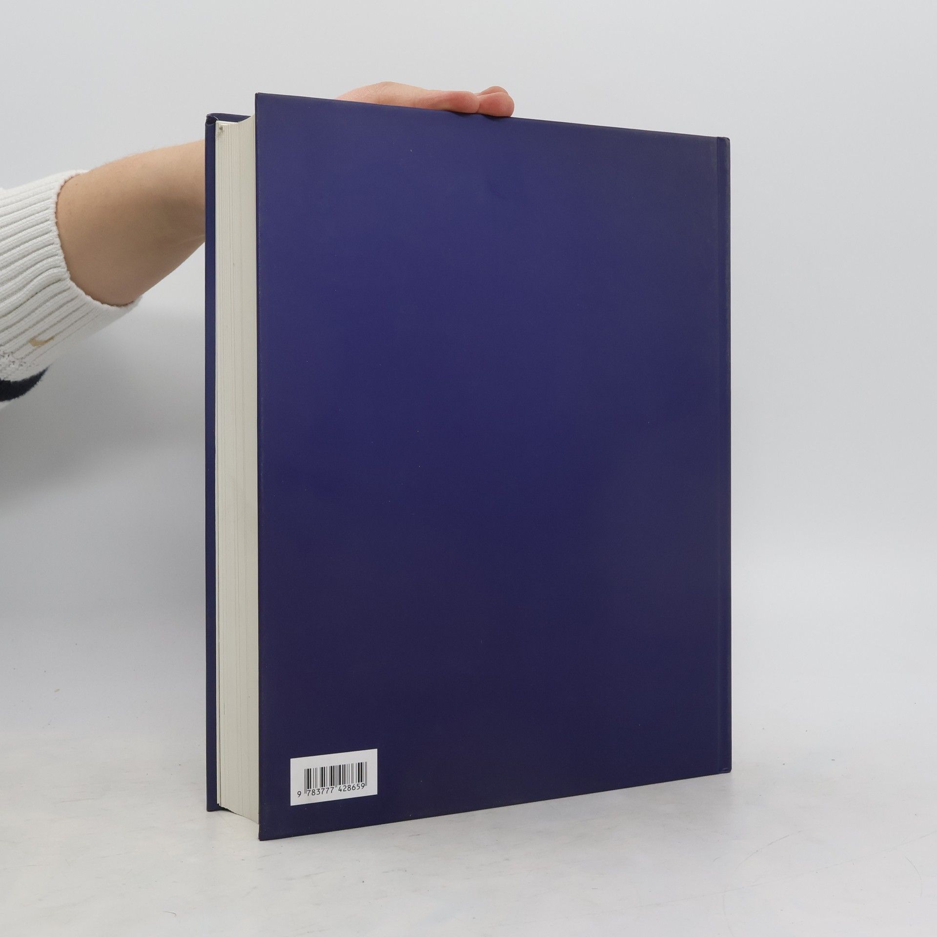 Autorenkollektiv Canossa 1077 - Erschütterung der Welt. Essays