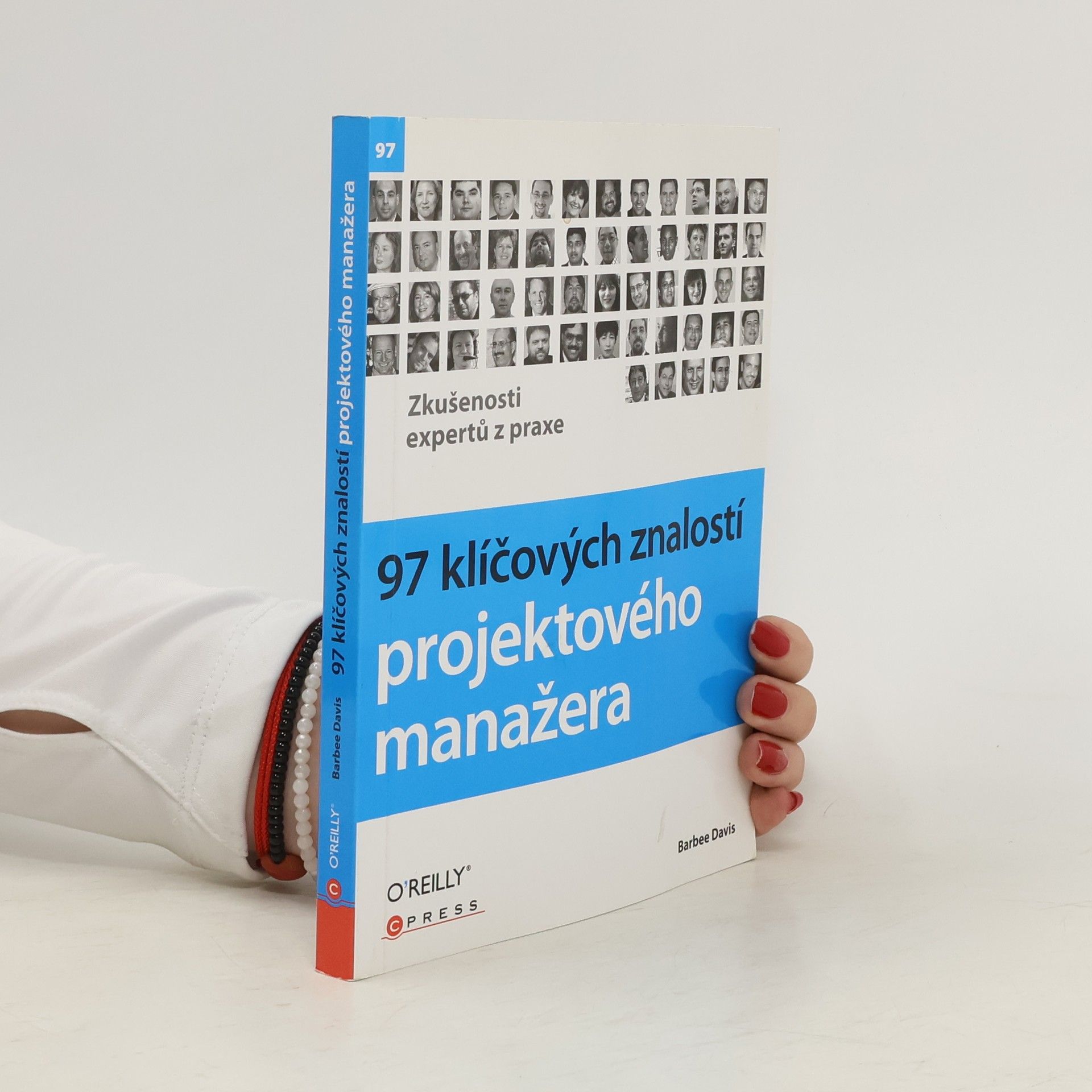 Barbee Davis 97 klíčových znalostí projektového manažera