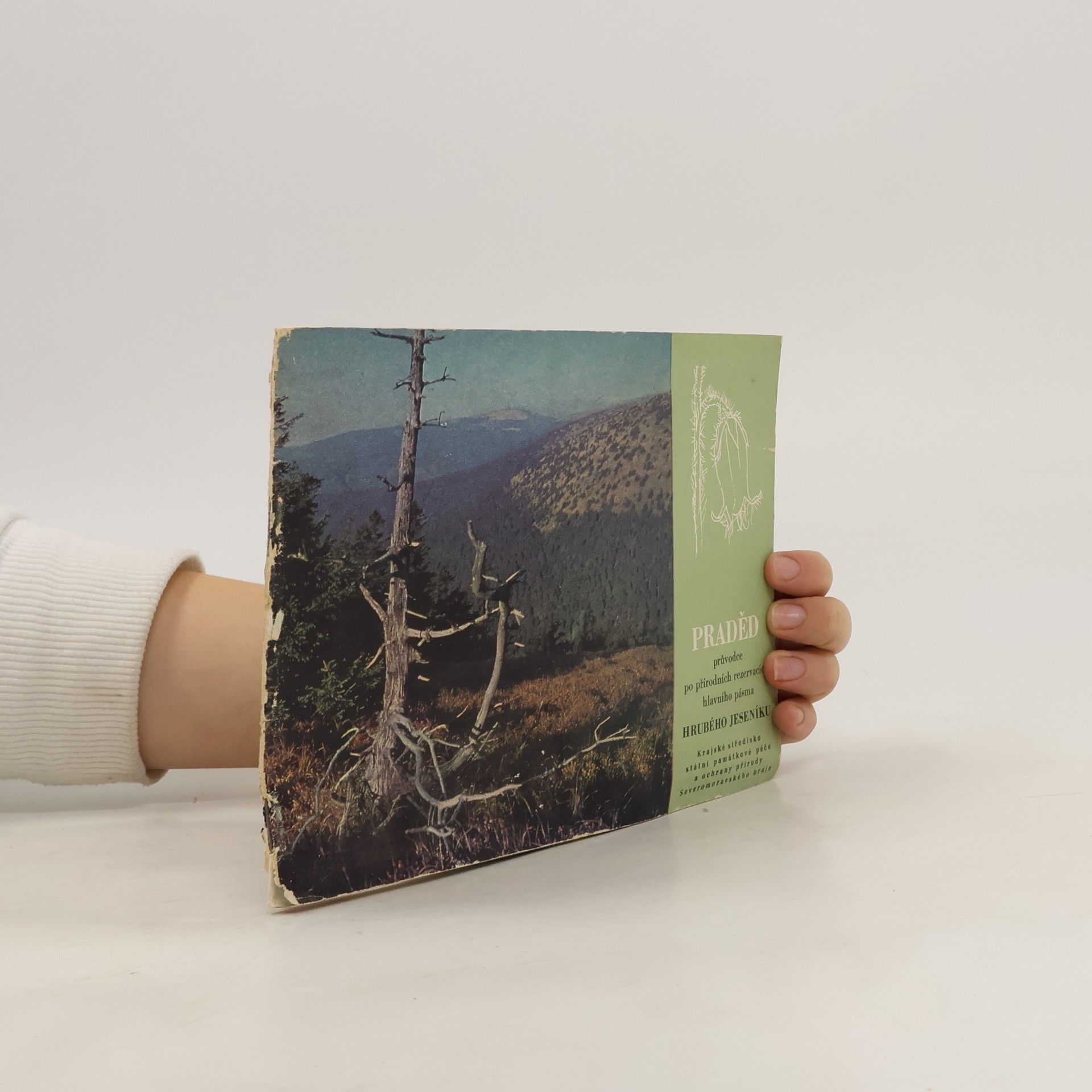 Praděd. Průvodce po přírodních rezervacích hlavního pásma Hrubého Jeseníku