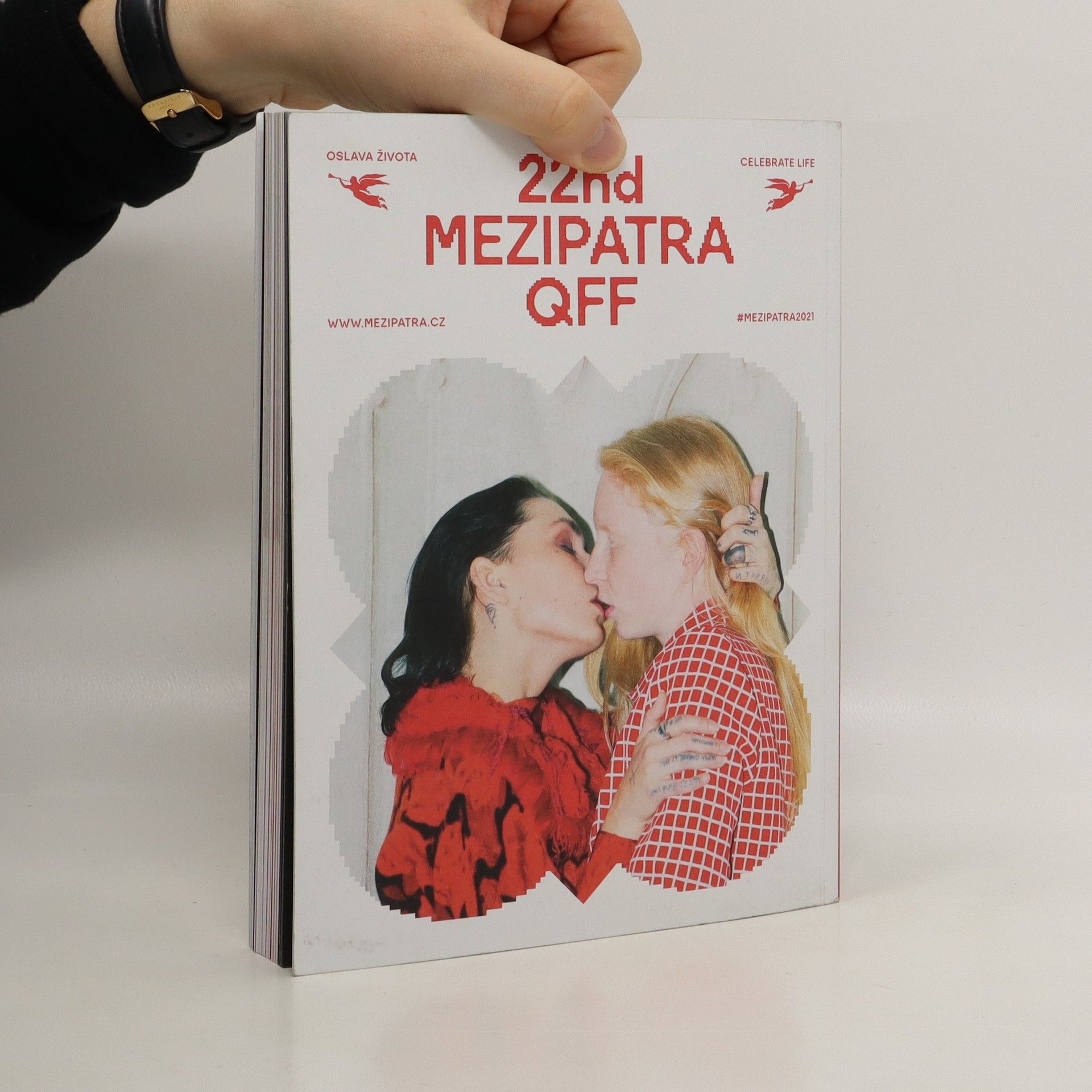 Autorenkollektiv 22nd Mezipatra QFF. Festivalový katalog. Festival Catalogue.