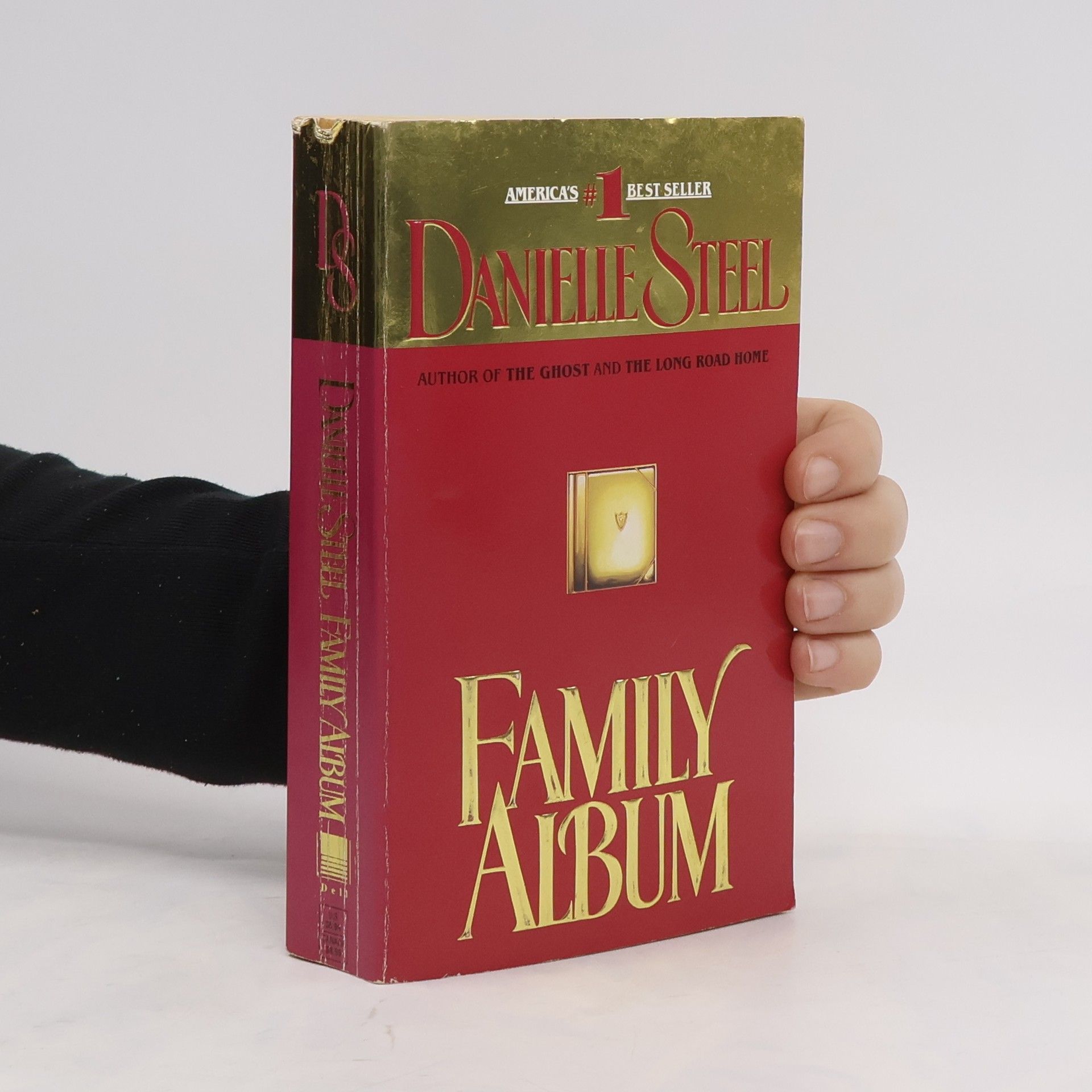 Danielle Steel Family Album