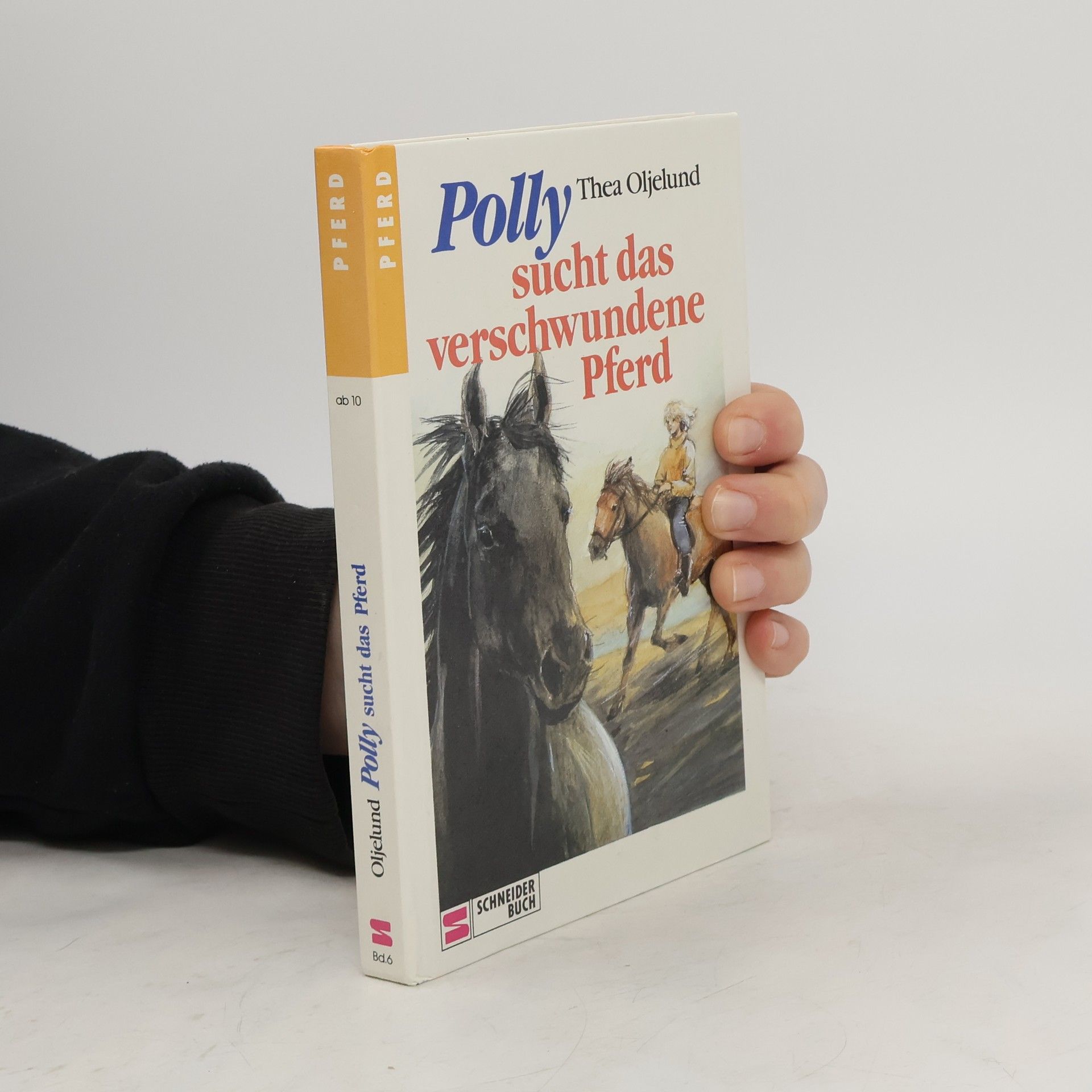 Thea Oljelund Polly sucht das verschwundene Pferd