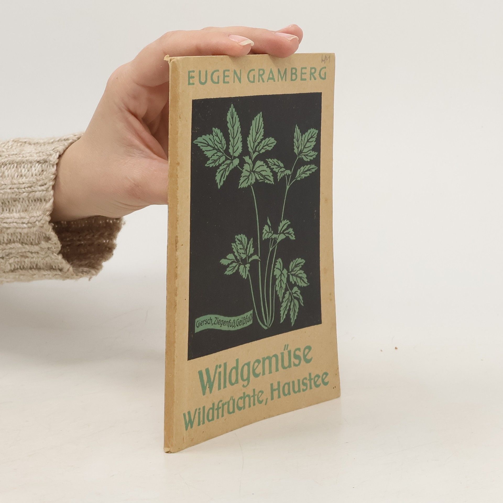 Eugen Gramberg Wildgemuse Wildfrüchte, Haustee