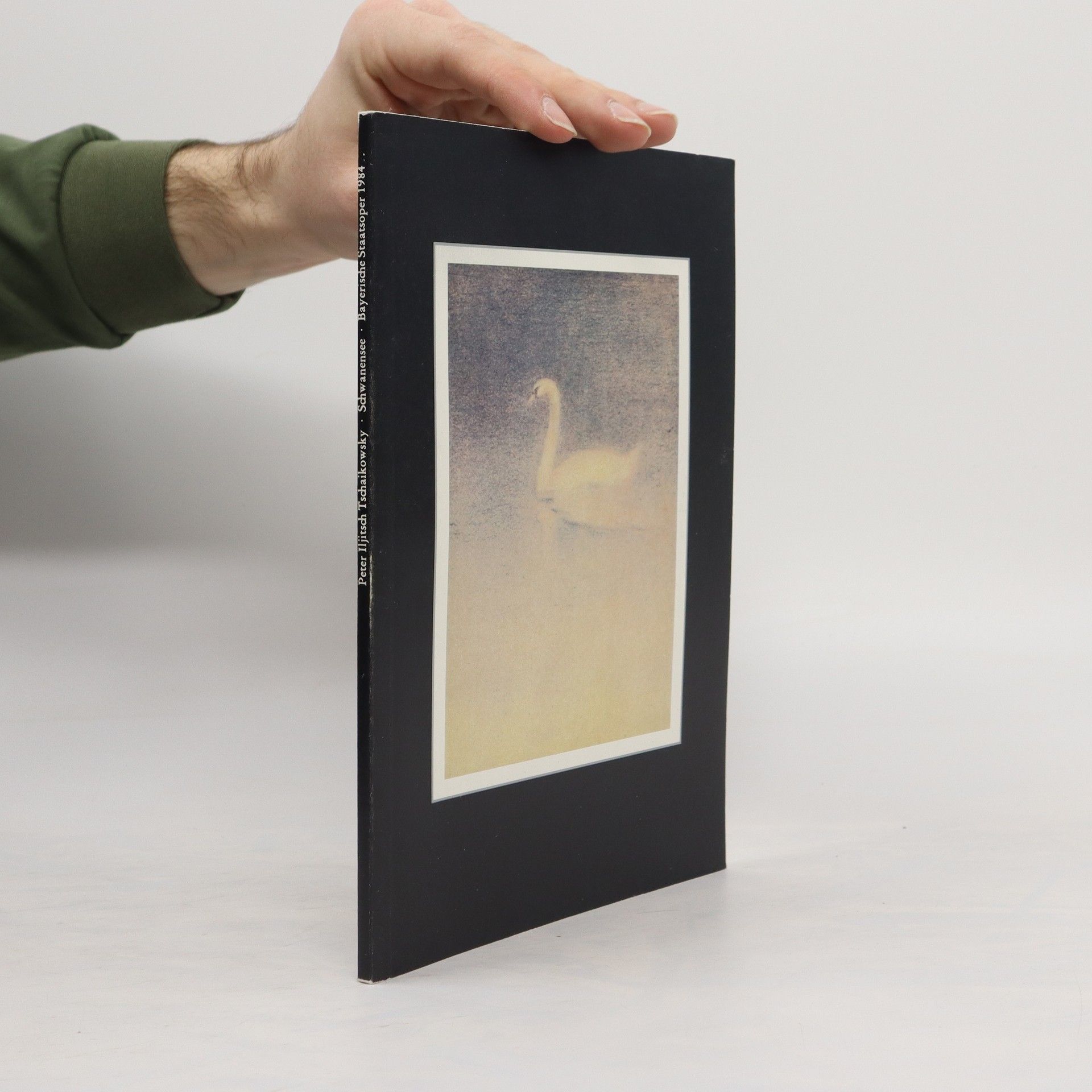 Collectif d'auteurs Schwanensee