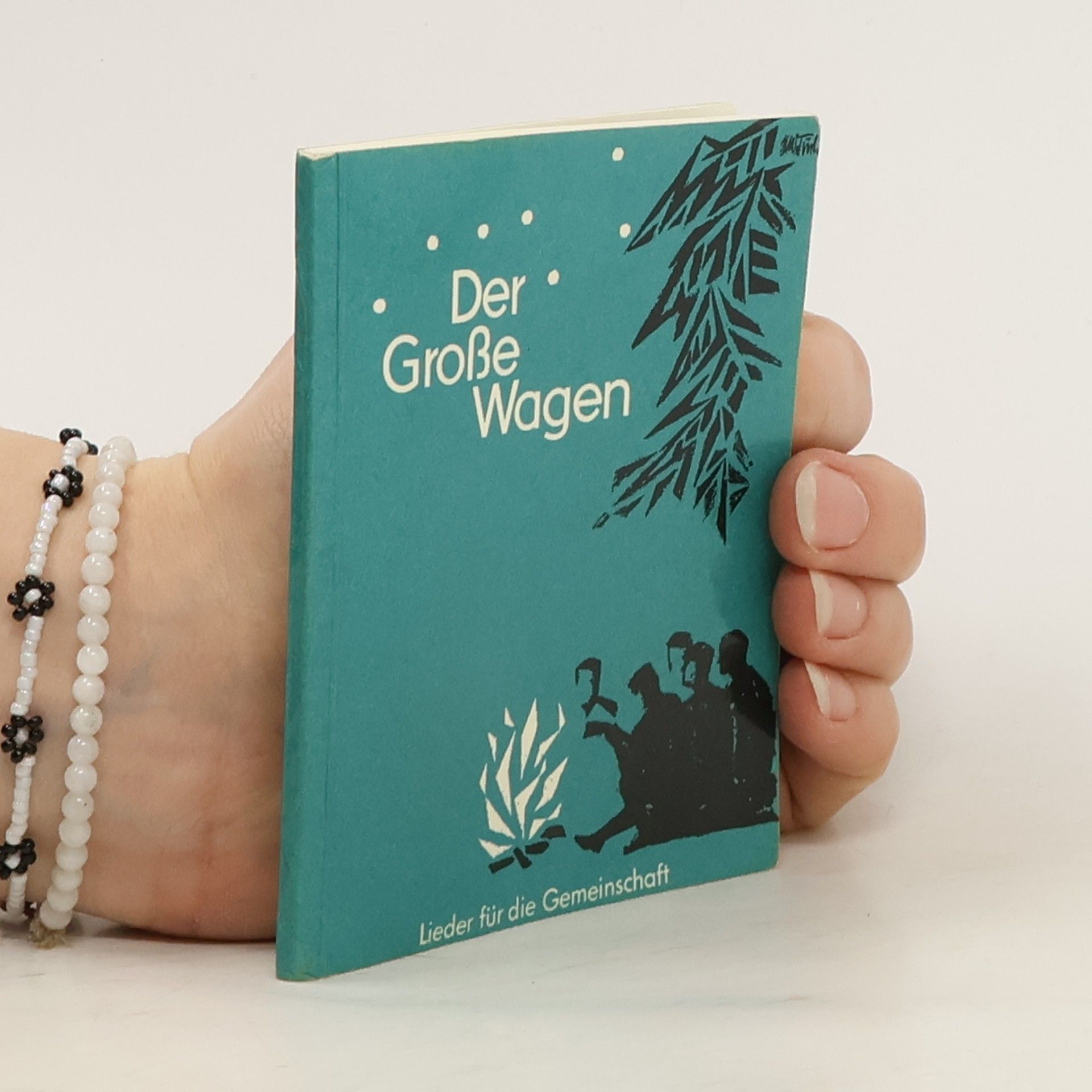 kolektiv Der Große Wagen