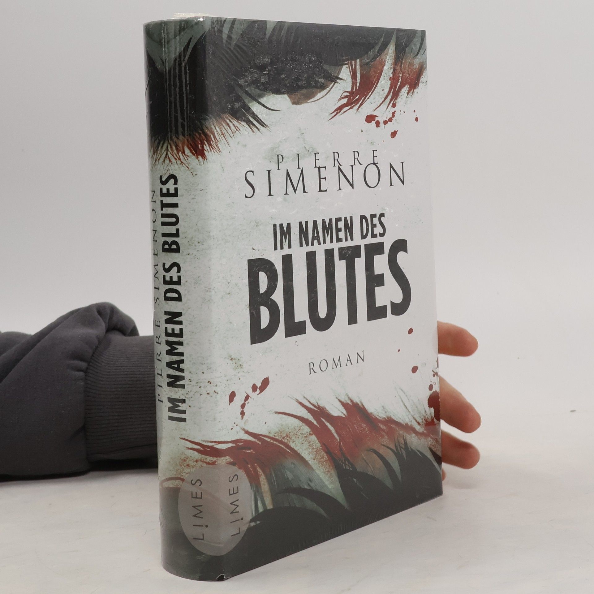 Pierre Simenon Im Namen des Blutes