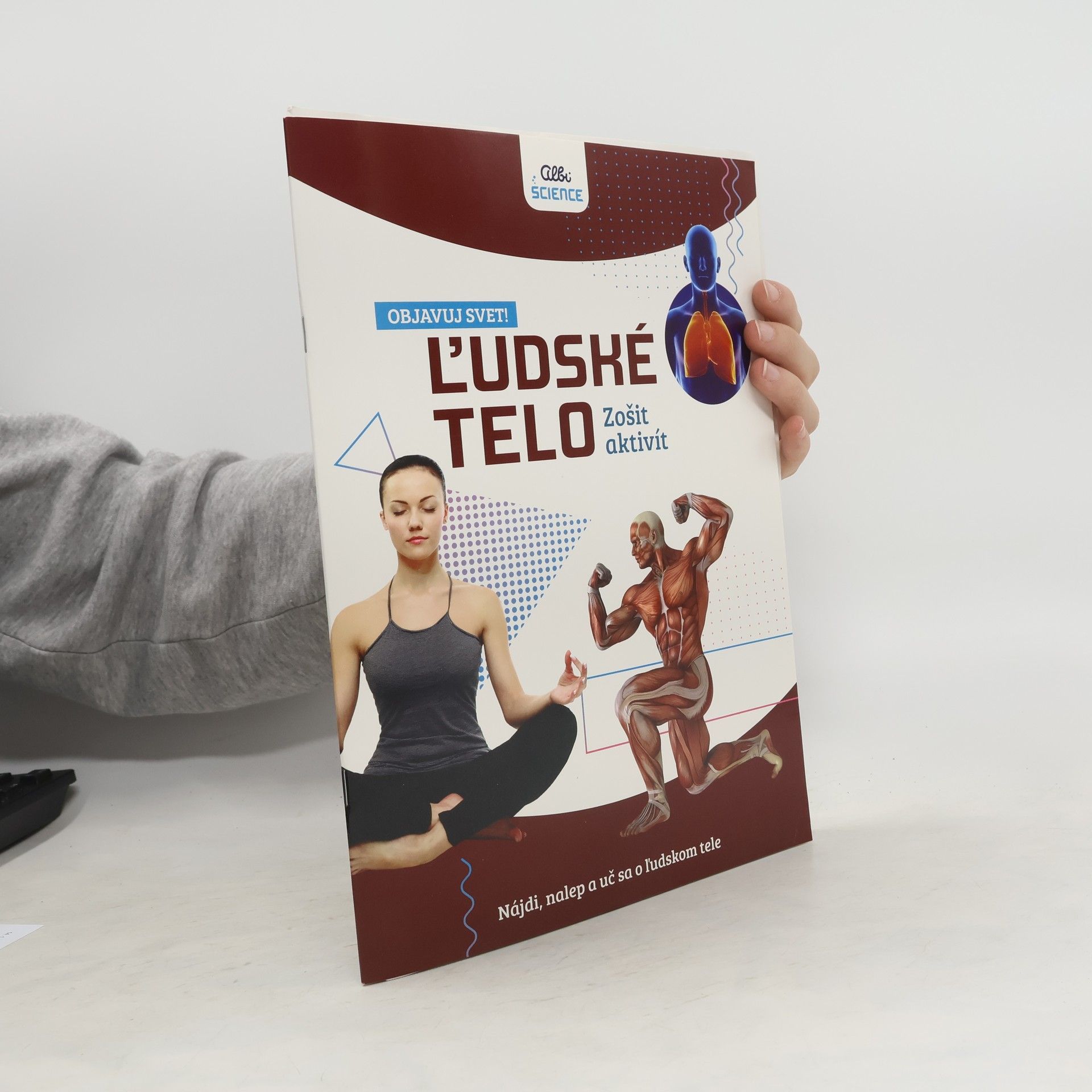 Autorenkollektiv Ĺudské telo