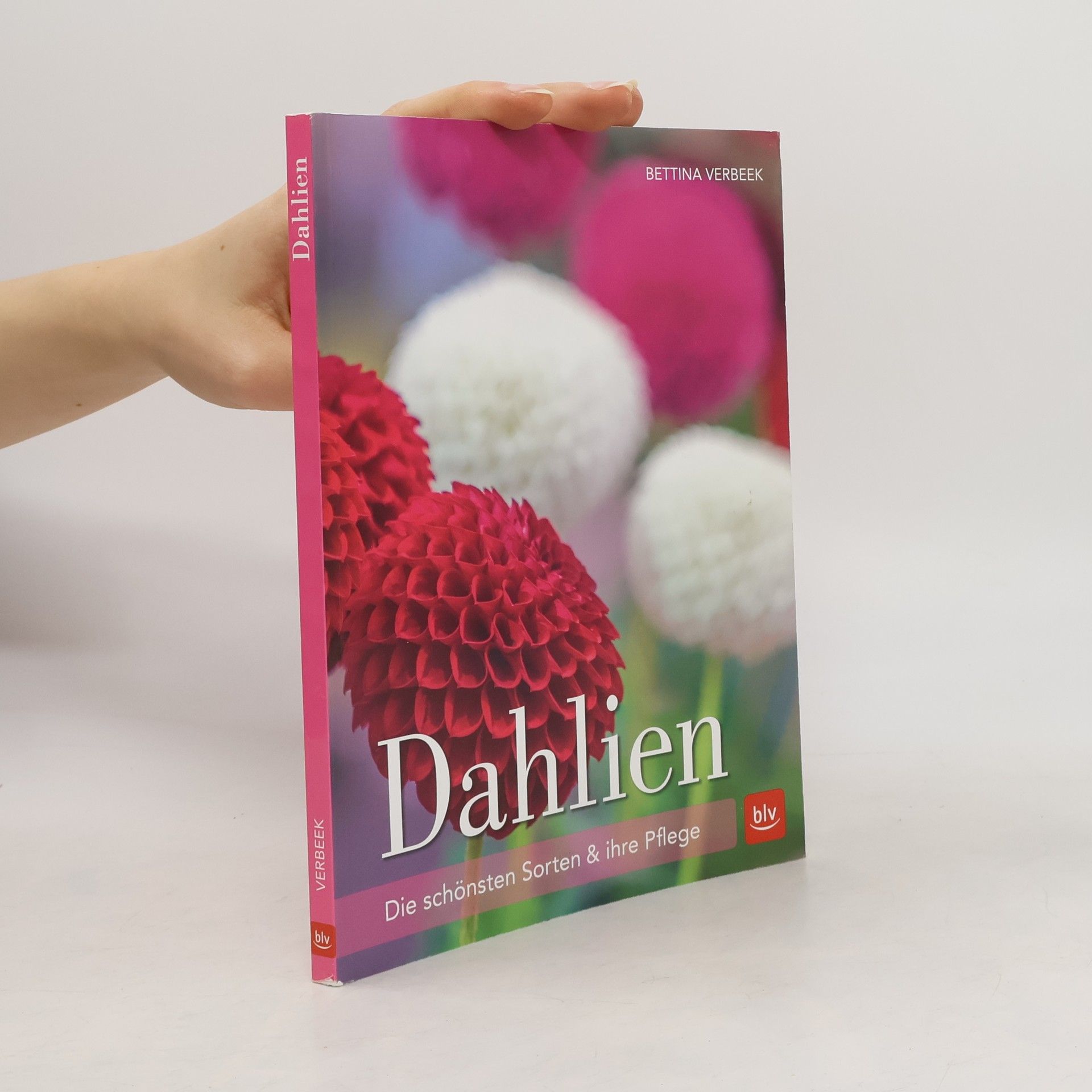 Bettina Verbeek Dahlien