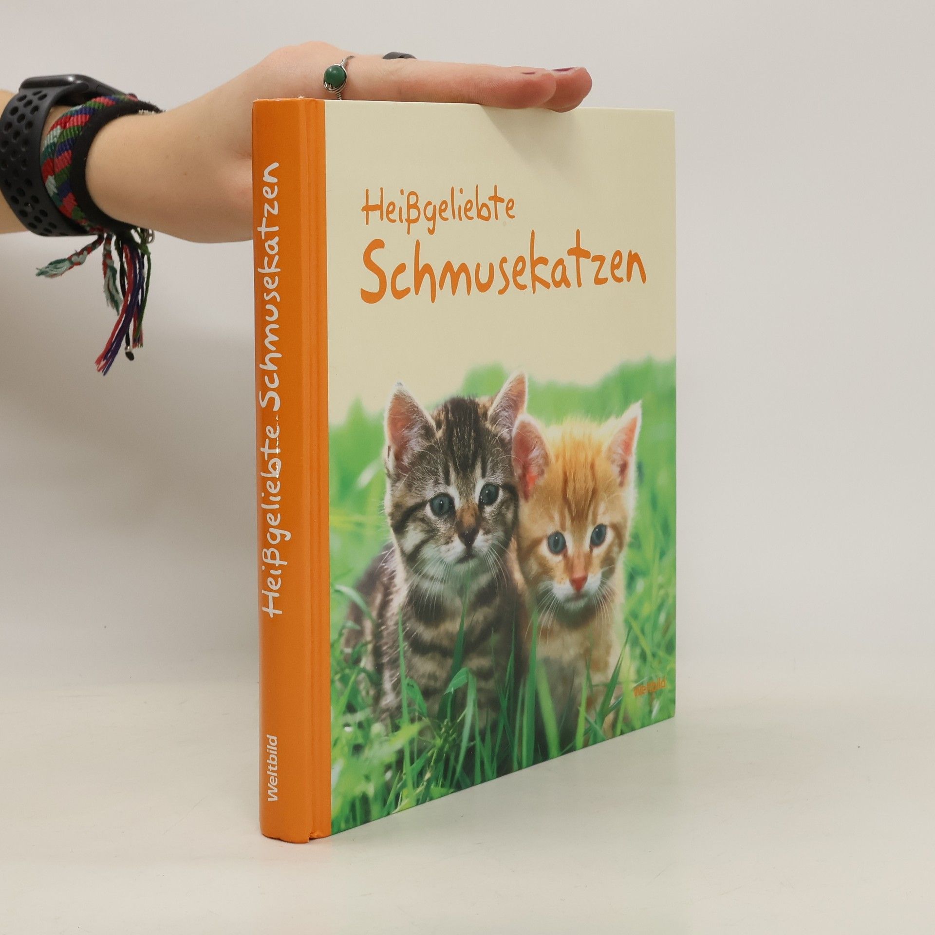 Monika Auberger Heißgeliebte Schmusekatzen