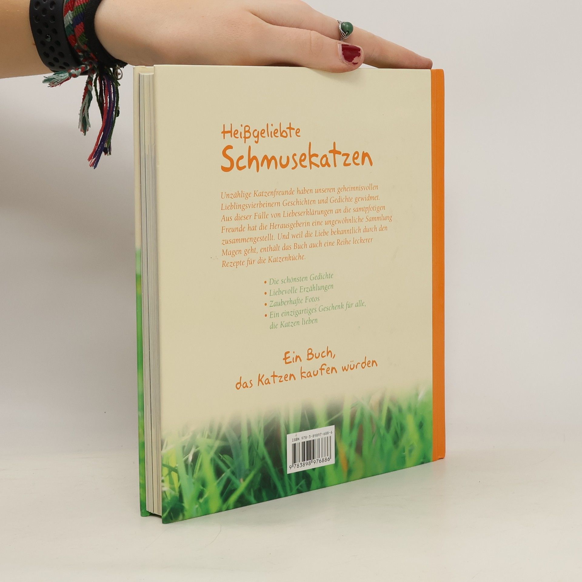 Monika Auberger Heißgeliebte Schmusekatzen