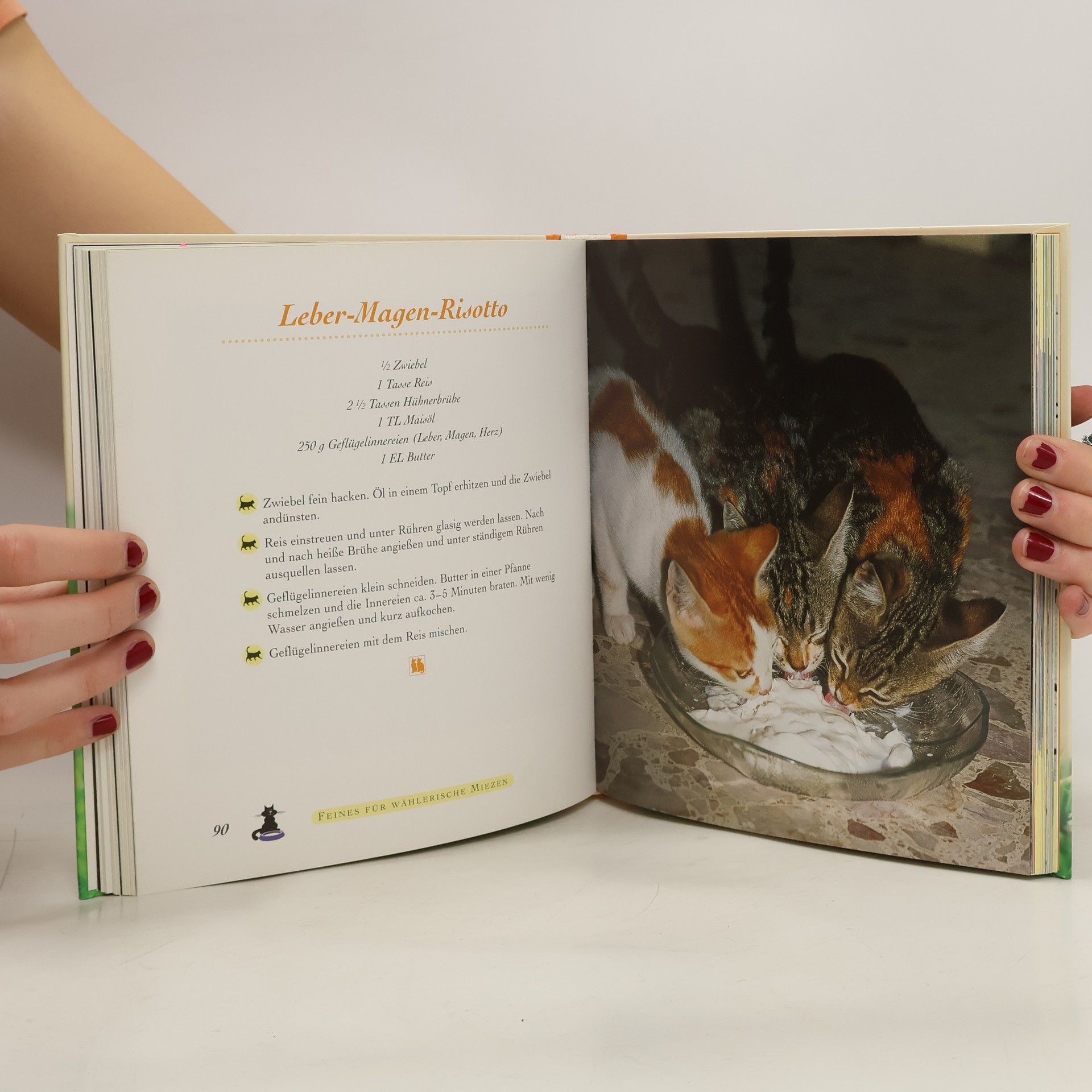 Monika Auberger Heißgeliebte Schmusekatzen