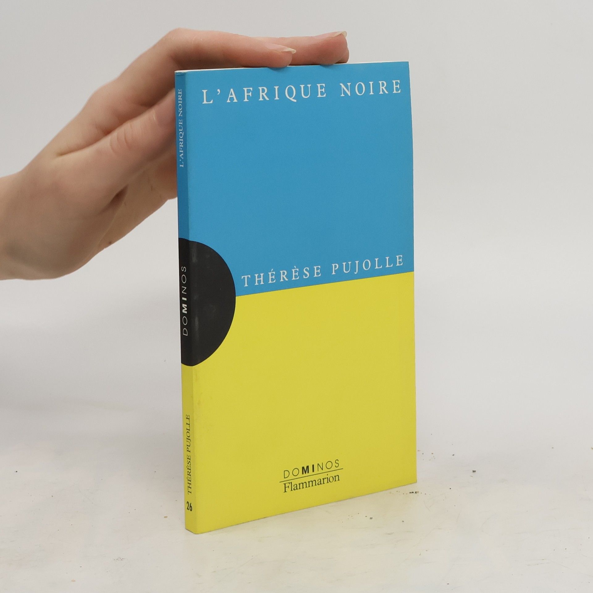 Thérèse Pujolle L'Afrique noire