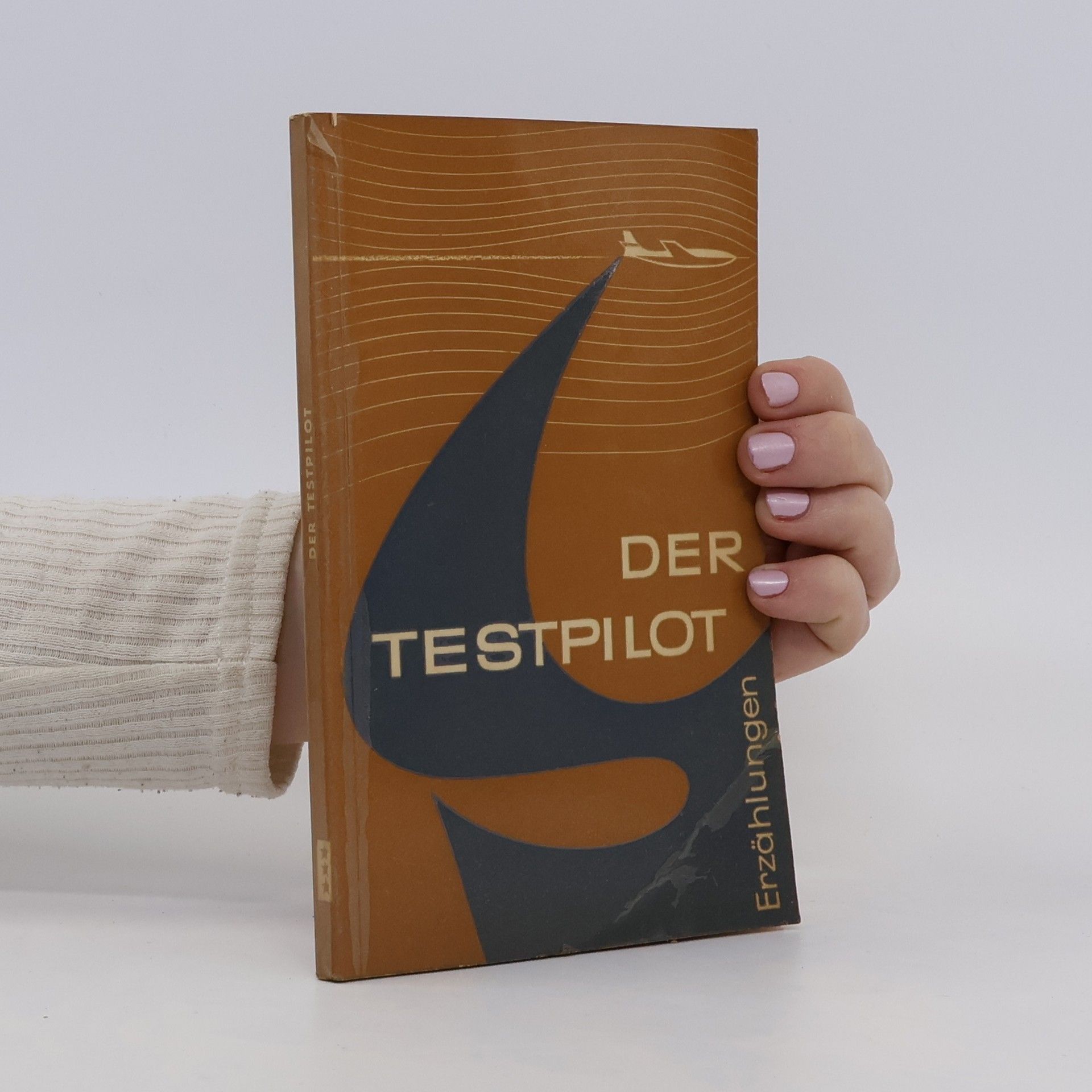 Collectif d'auteurs Der Testpilot Erzählungen