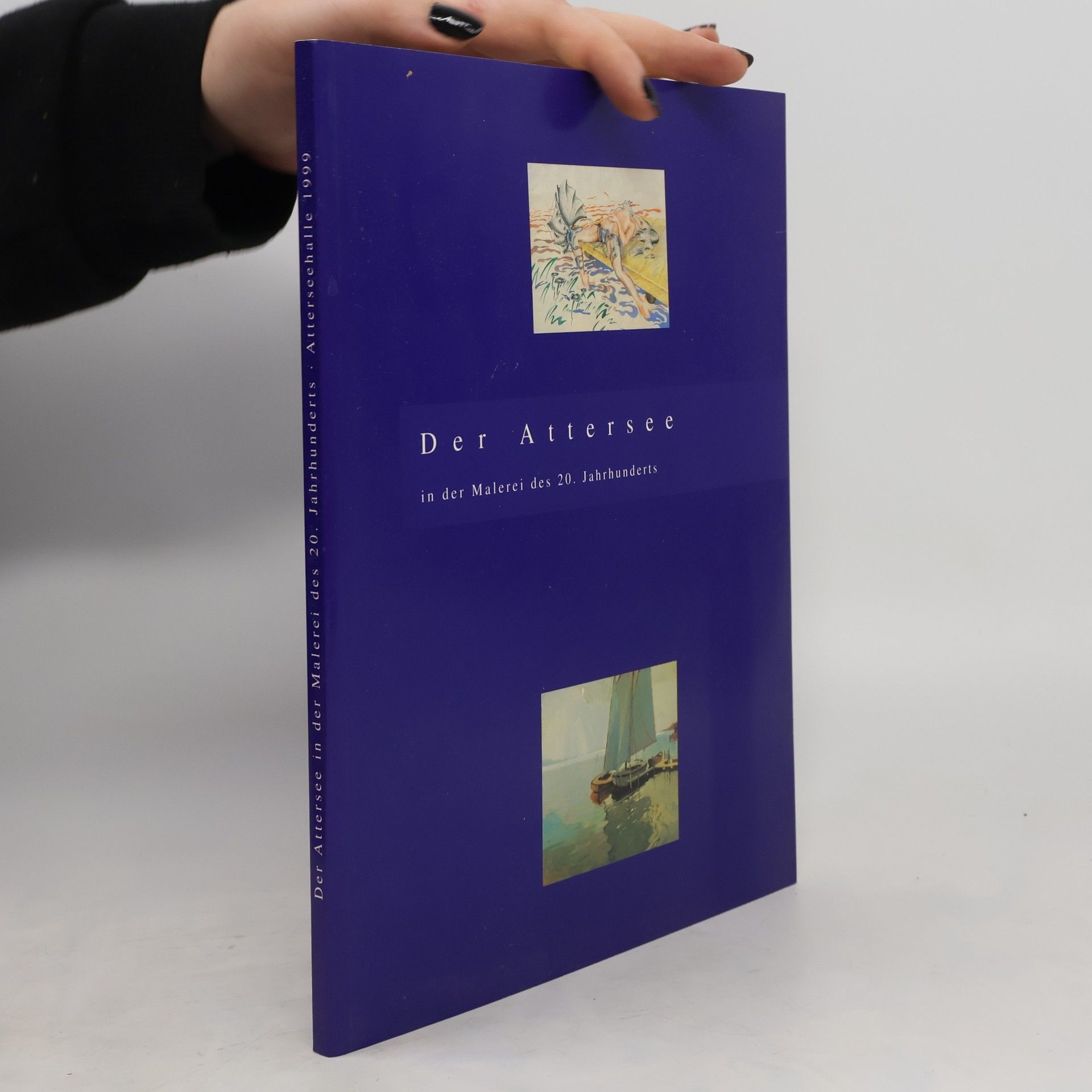 Kolektiv autorů Der Attersee in der Malerei des 20. Jahrhunderts