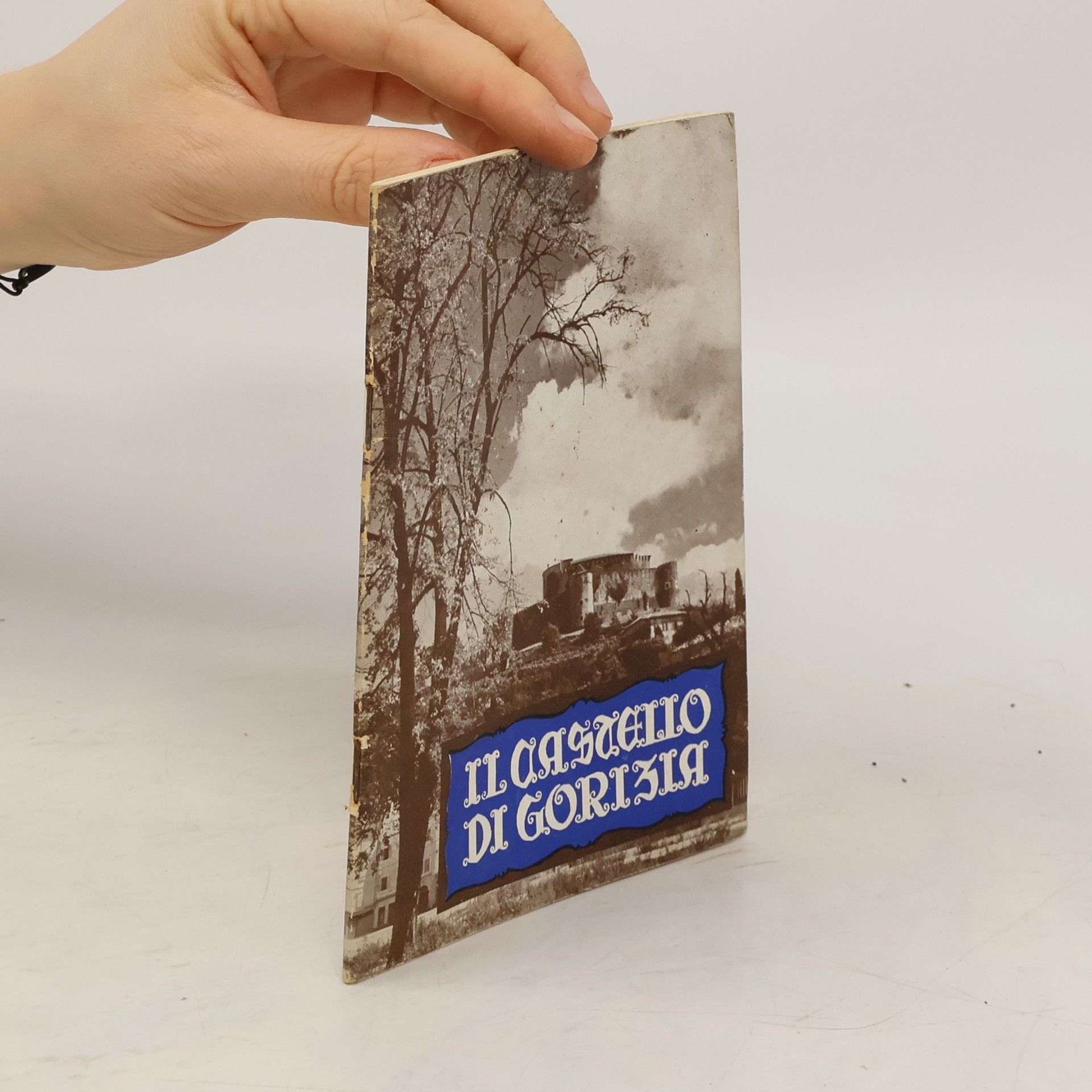 AA.VV. Il Castello di Gorizia