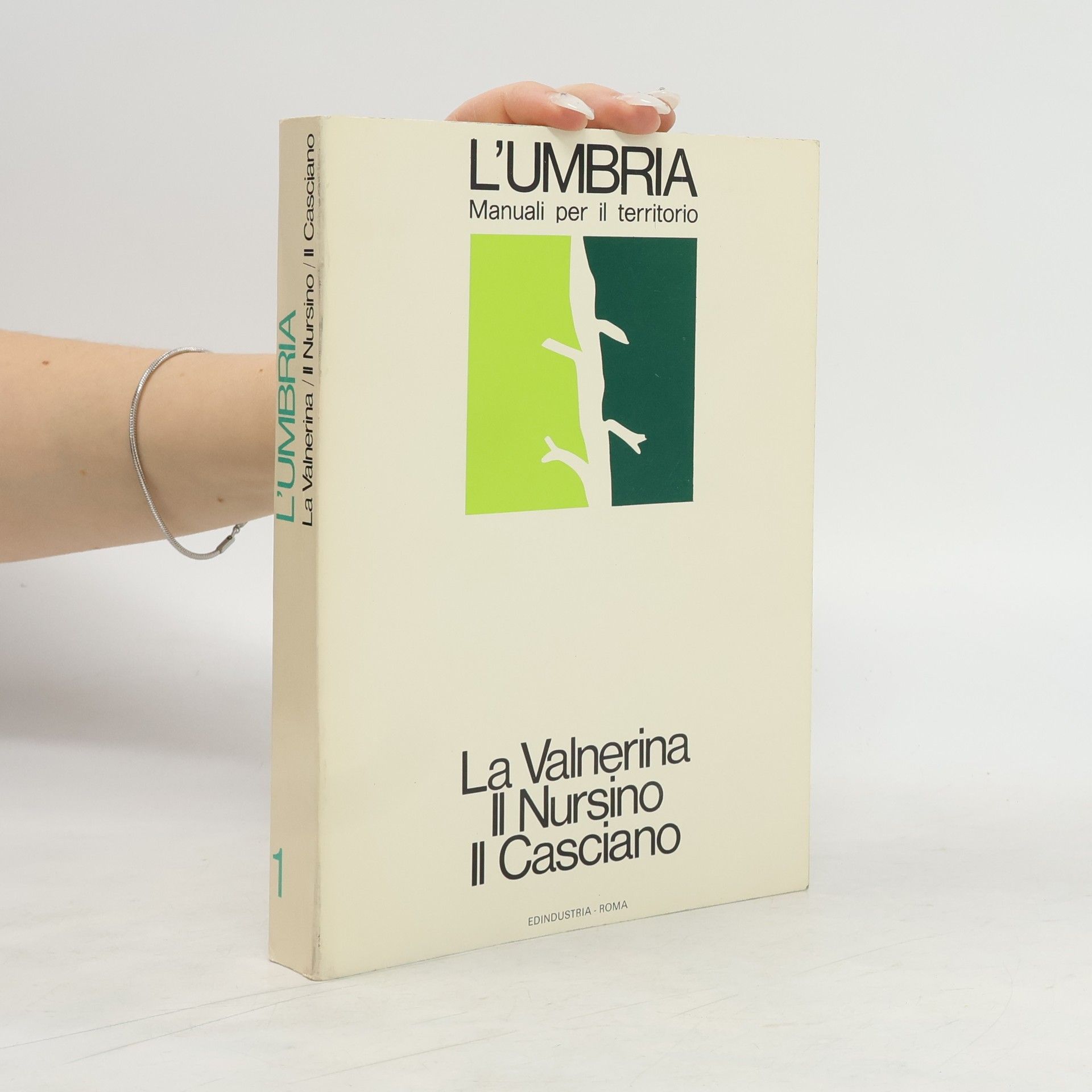 AA.VV. L'Umbria. La Valnerina. Il Nursino. Il Casciano