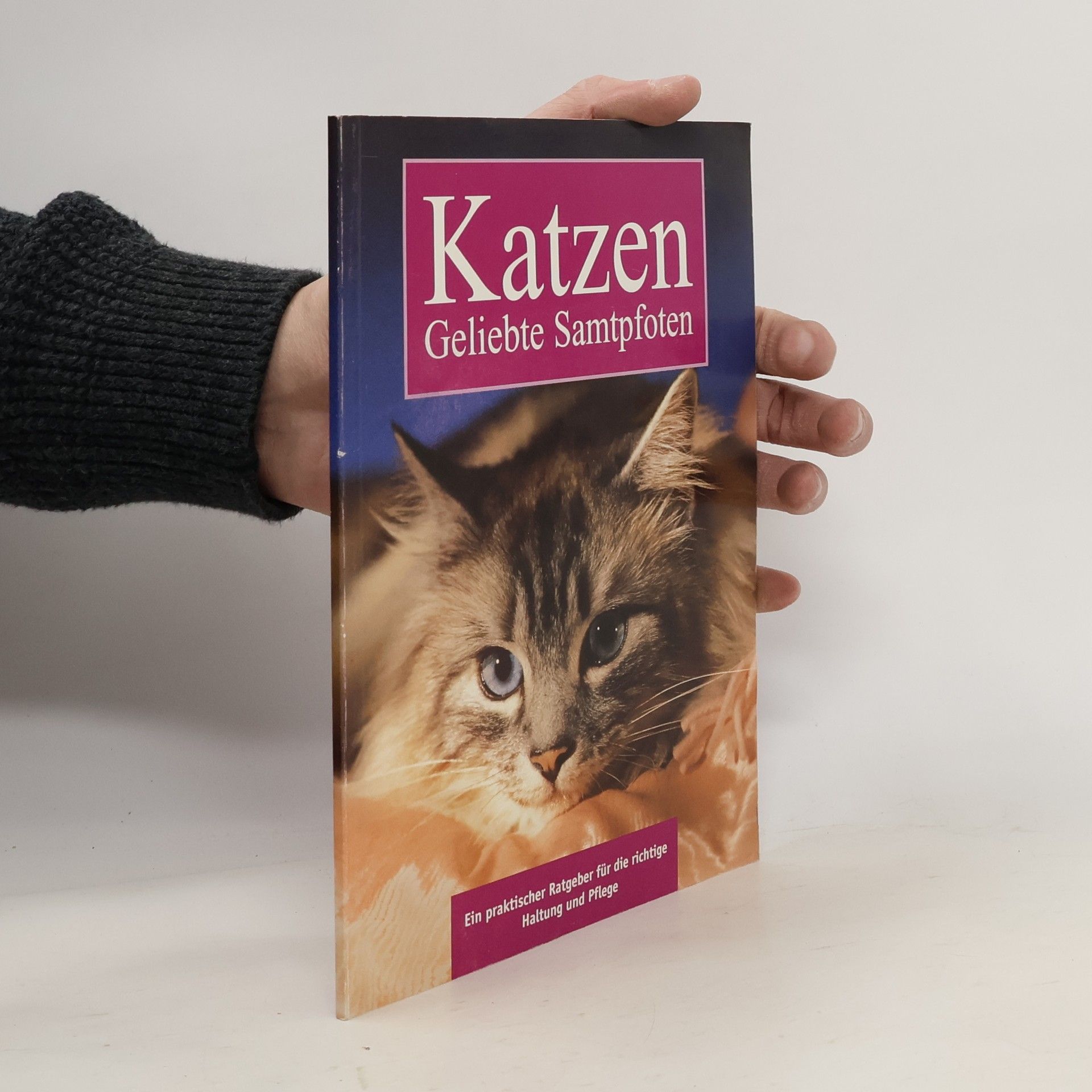 Autorenkollektiv Katzen. Geliebte Samtpfoten