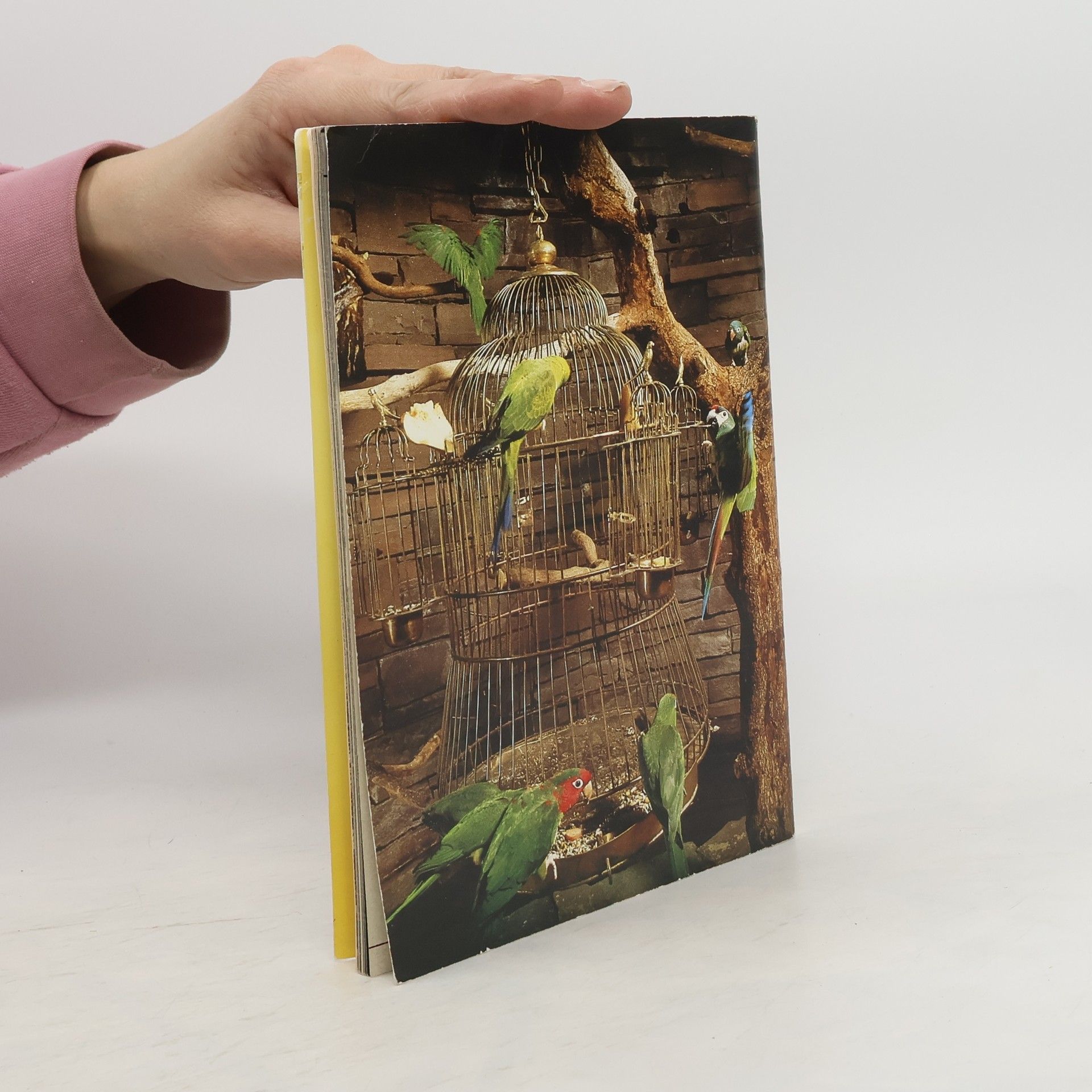 kolektiv Deutsches Vogelbauer-Museum im Vogelpark Walsrode