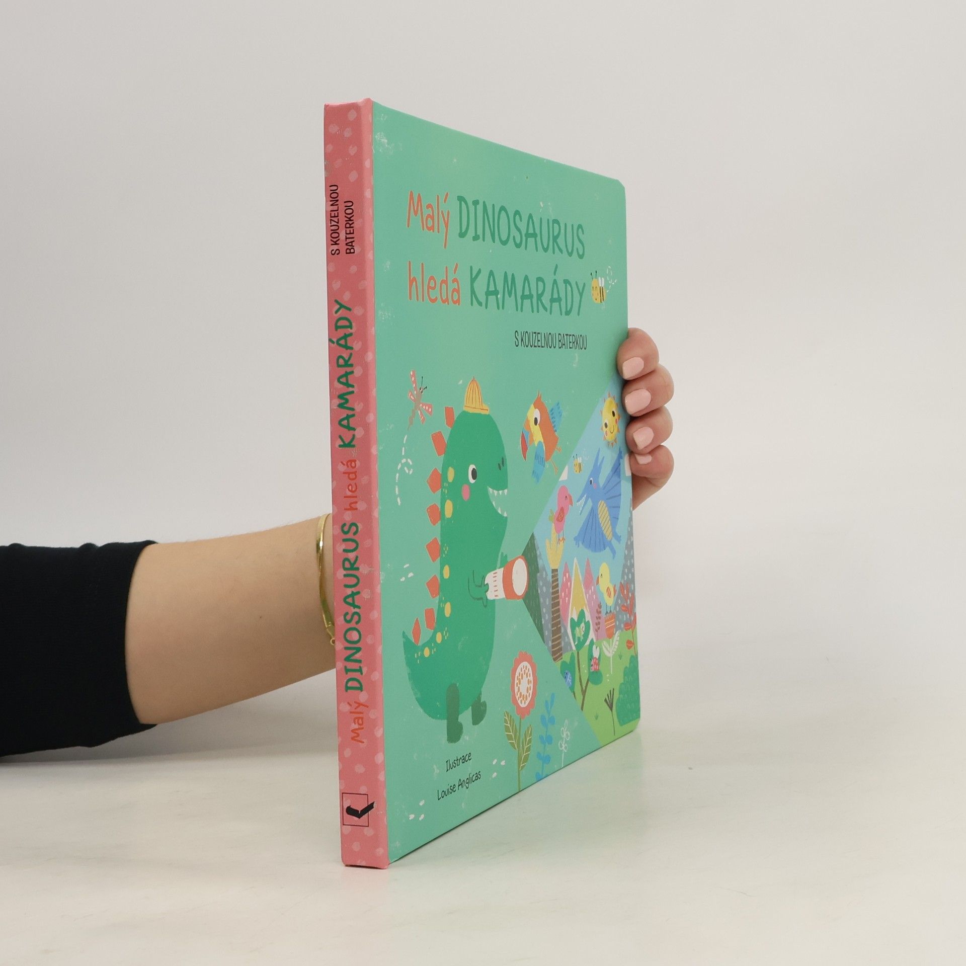 Autorenkollektiv Malý dinosaurus hledá kamarády s kouzelnou baterkou