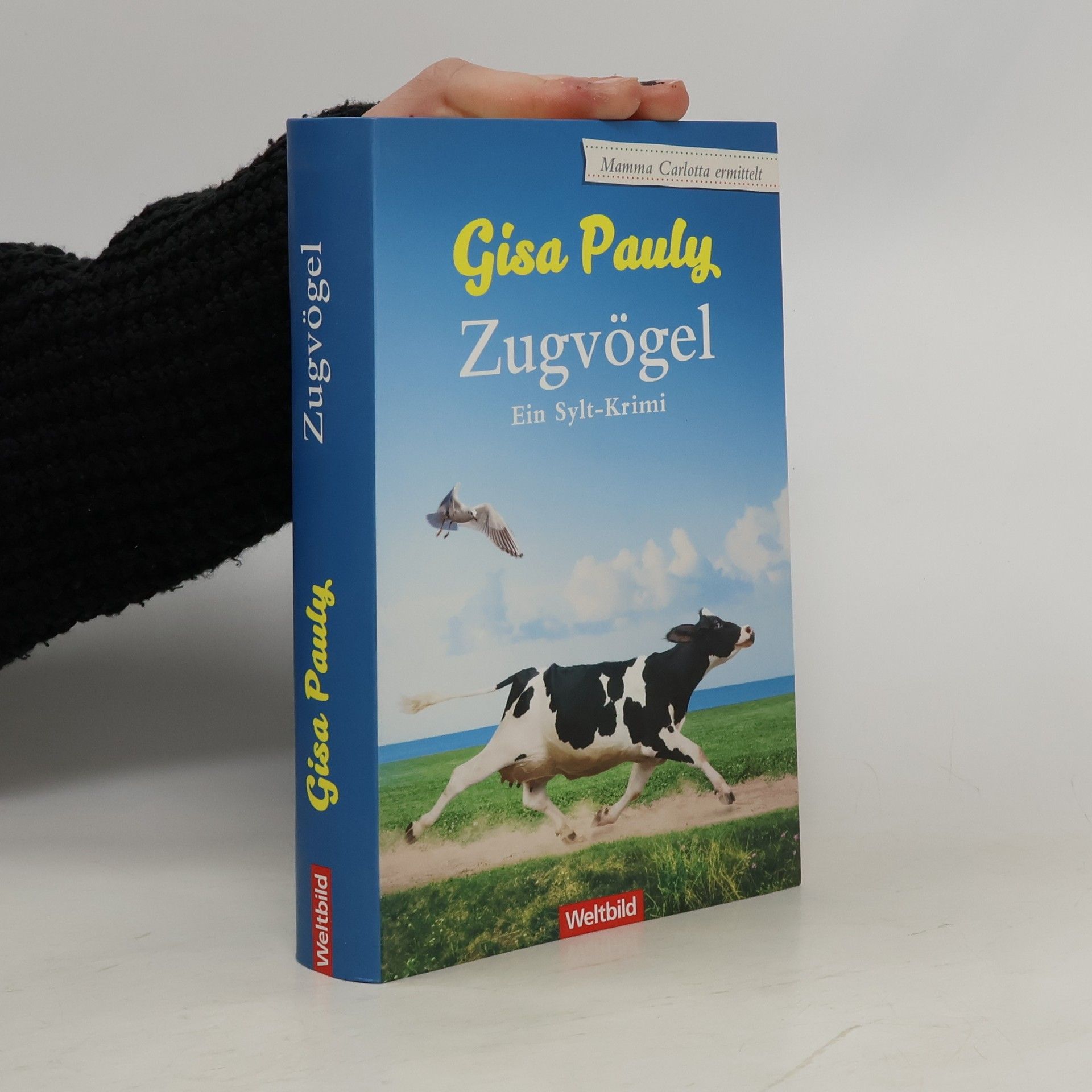 Gisela Pauly Zugvögel