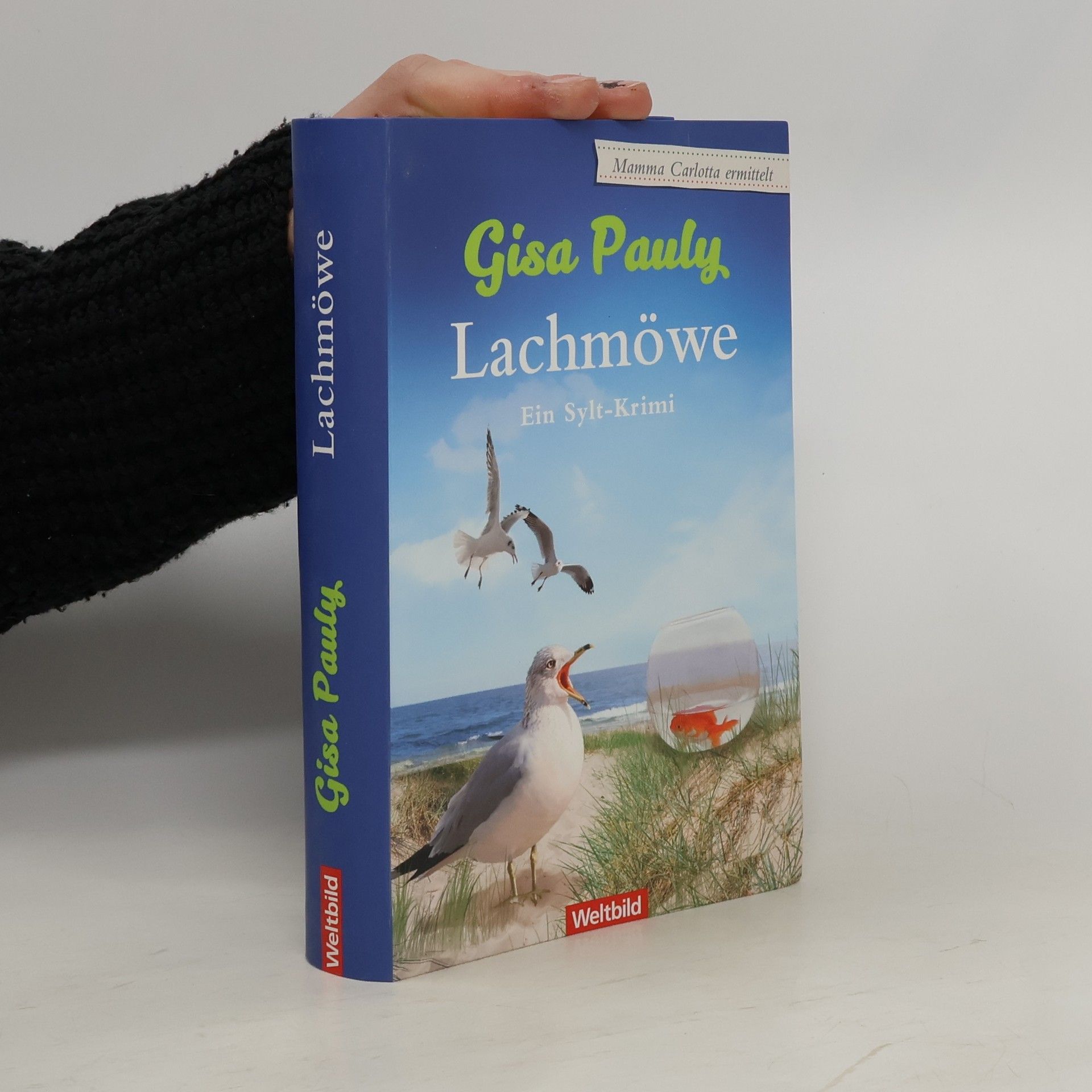 Gisa Pauly Lachmöwe