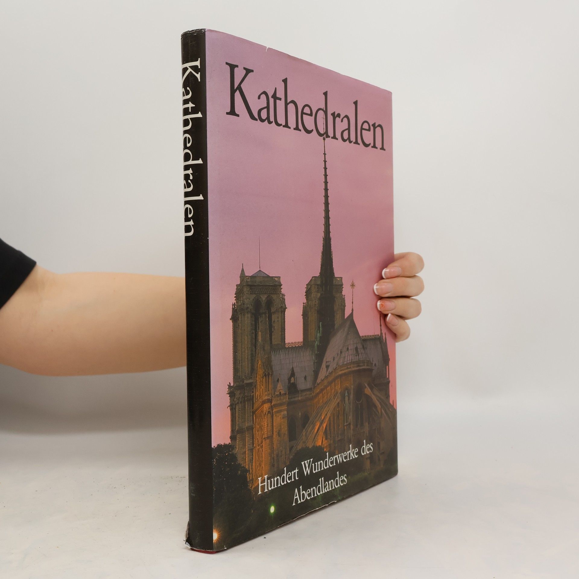 Auteurscollectief Kathedralen